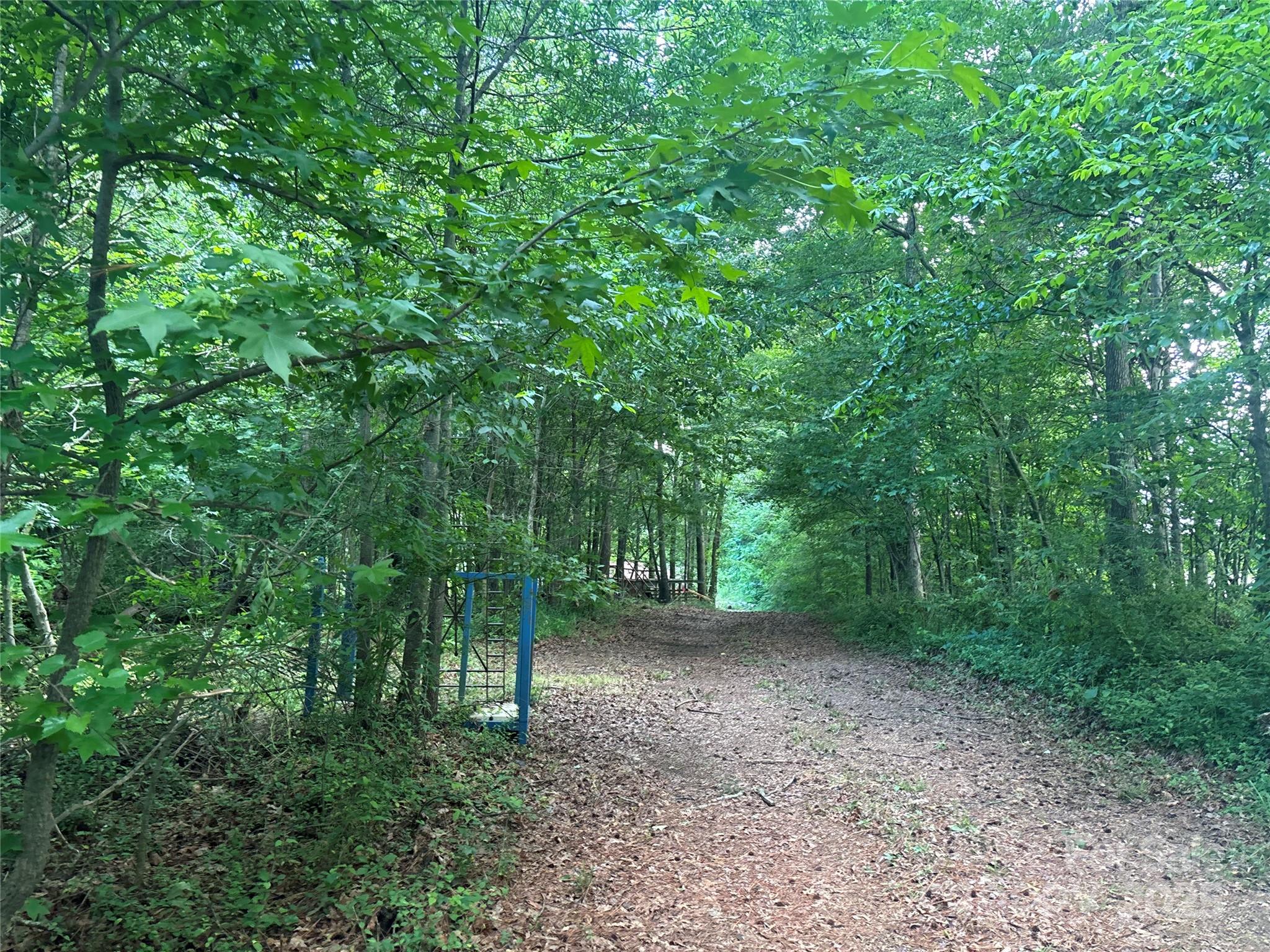160 Pine Log Road Property Photo 3