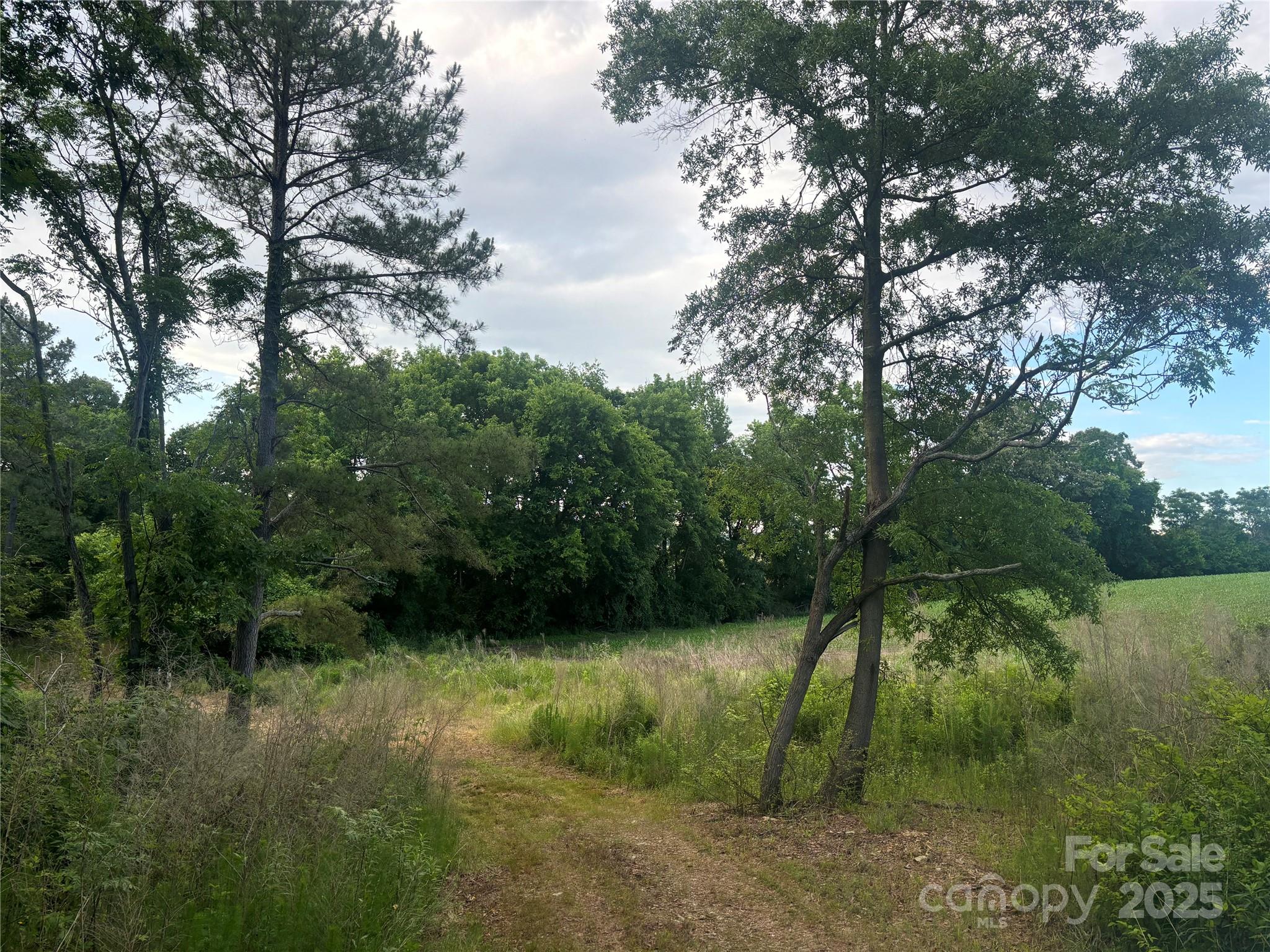 160 Pine Log Road Property Photo 4