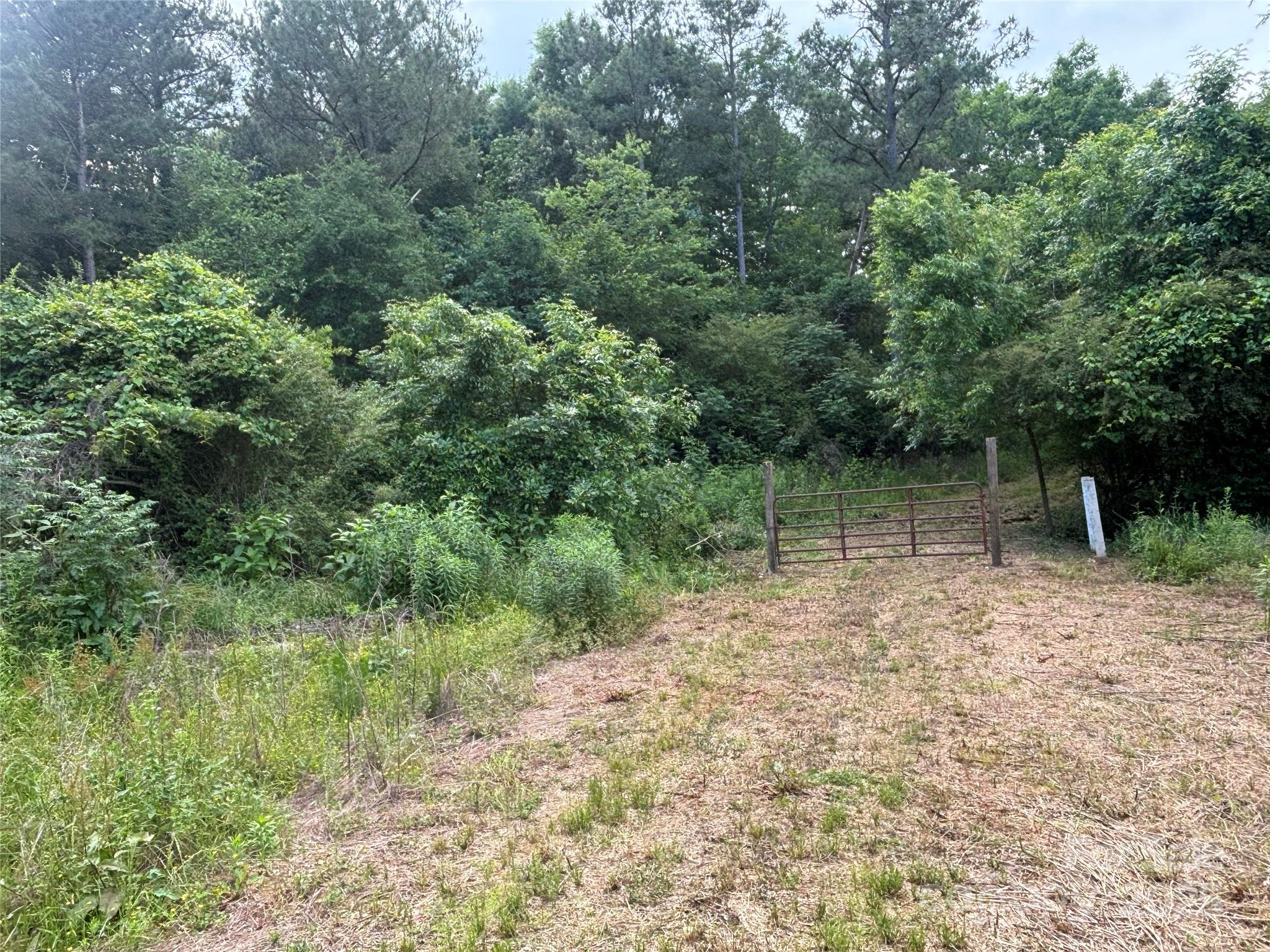160 Pine Log Road Property Photo 5