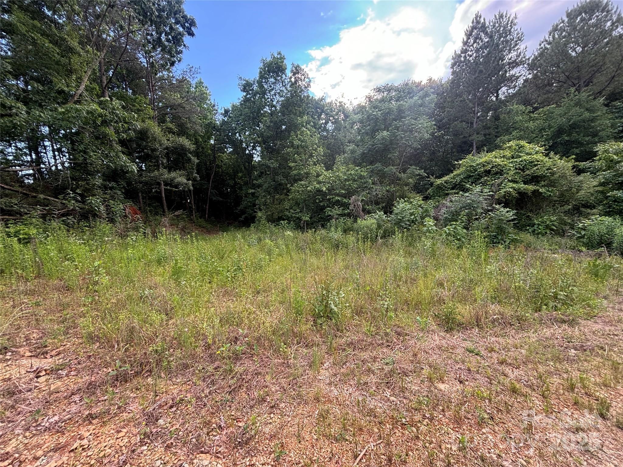 160 Pine Log Road Property Photo 6