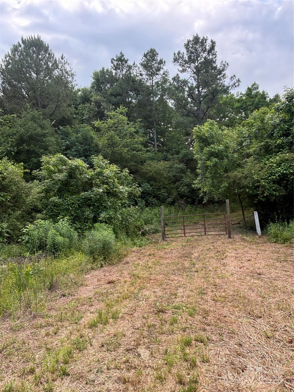 160 Pine Log Road Property Photo 7
