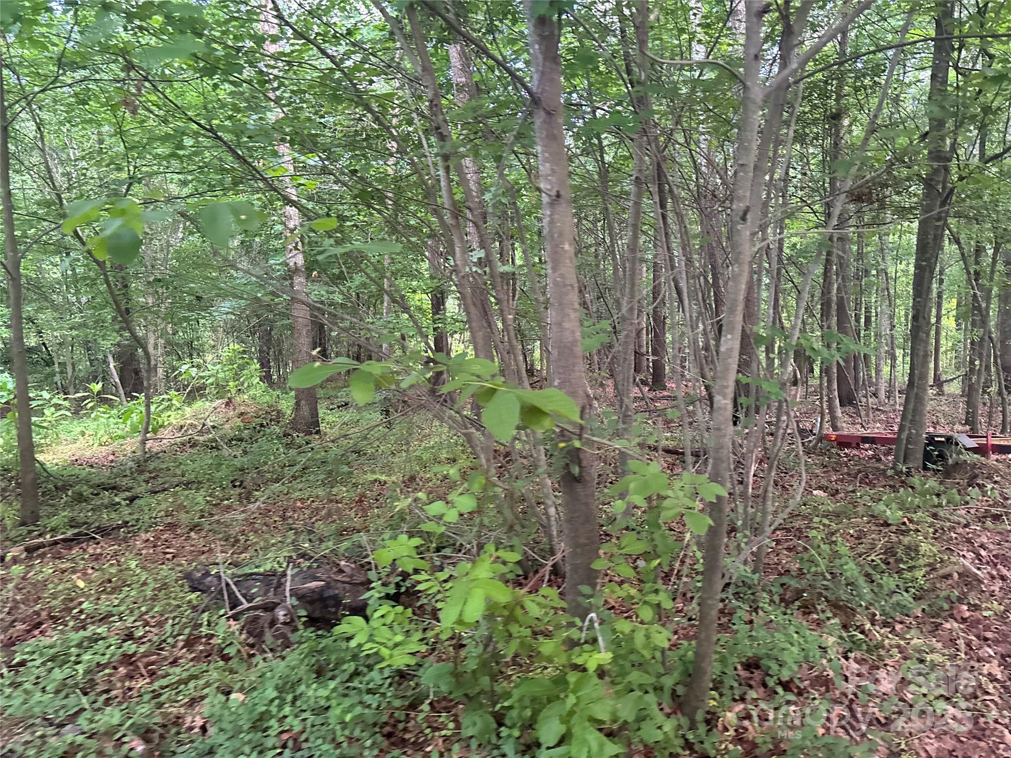 160 Pine Log Road Property Photo 8