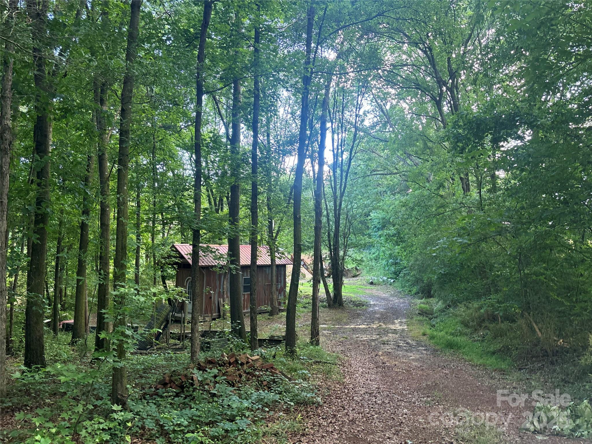 160 Pine Log Road Property Photo 9