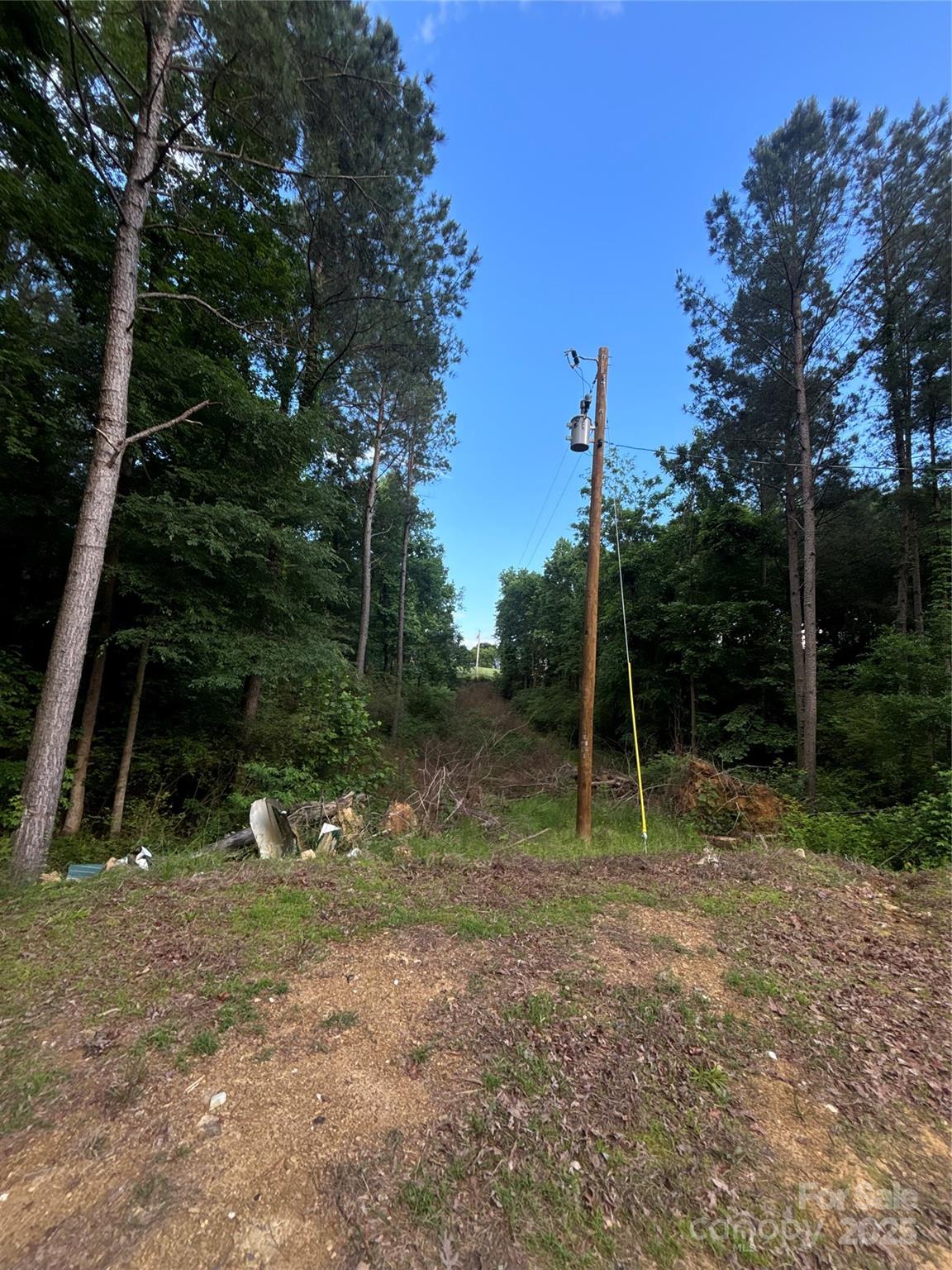 160 Pine Log Road Property Photo 11