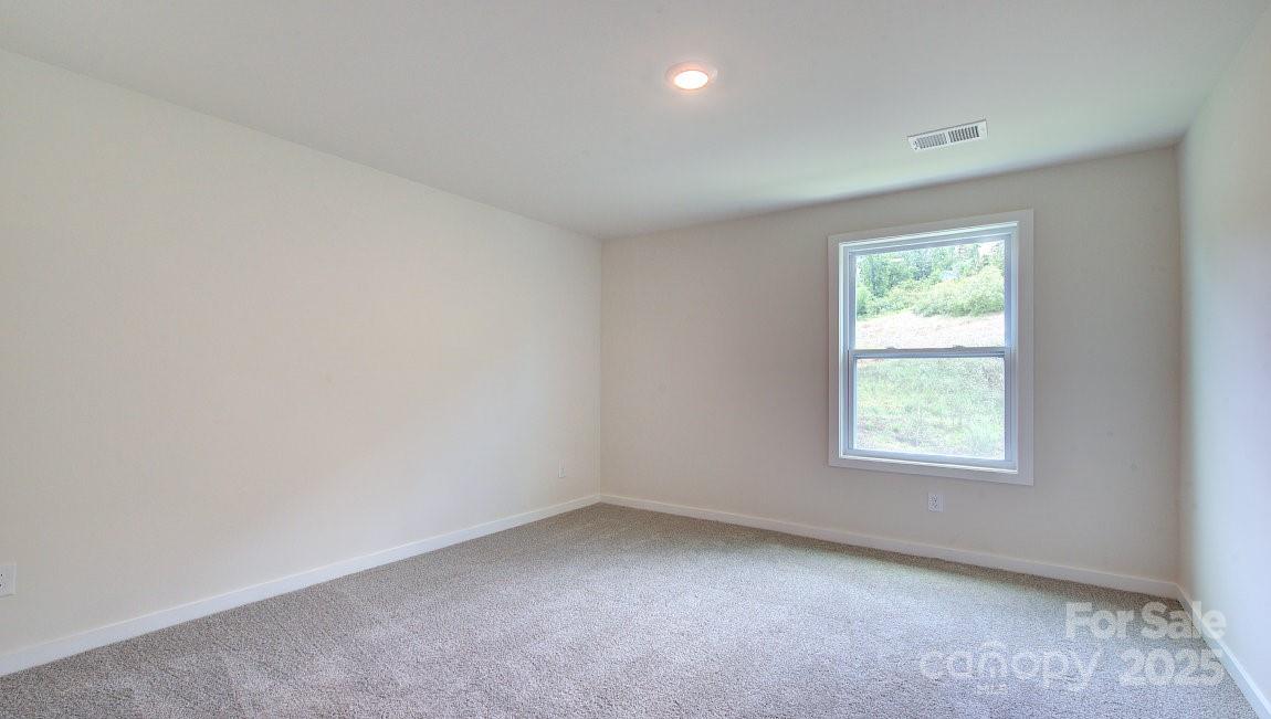 117 Sugg Trail Property Photo 23