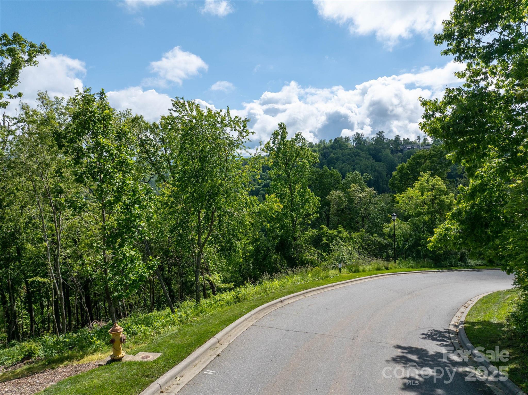 124 Summit Tower Circle Property Photo 2