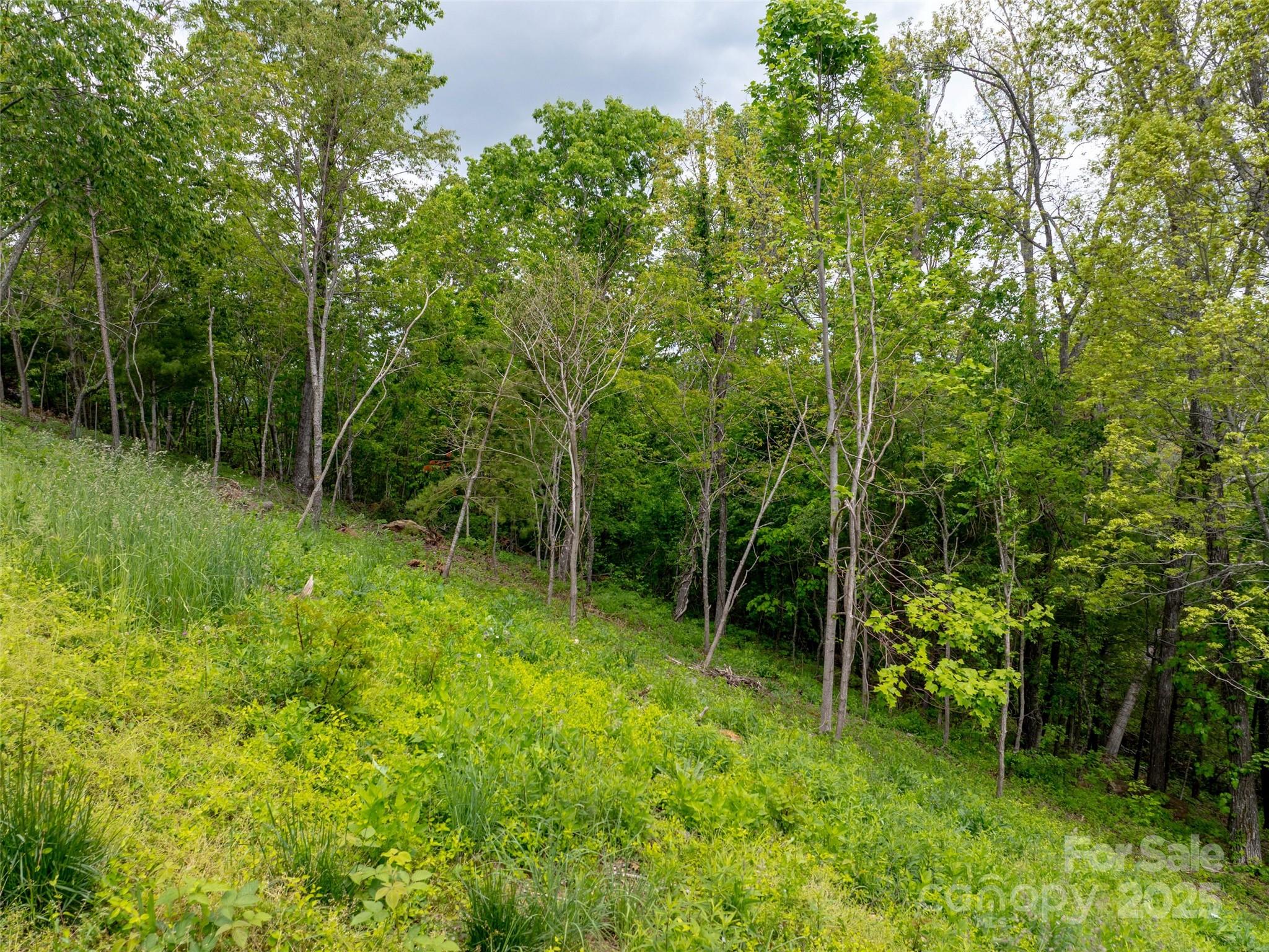 124 Summit Tower Circle Property Photo 5