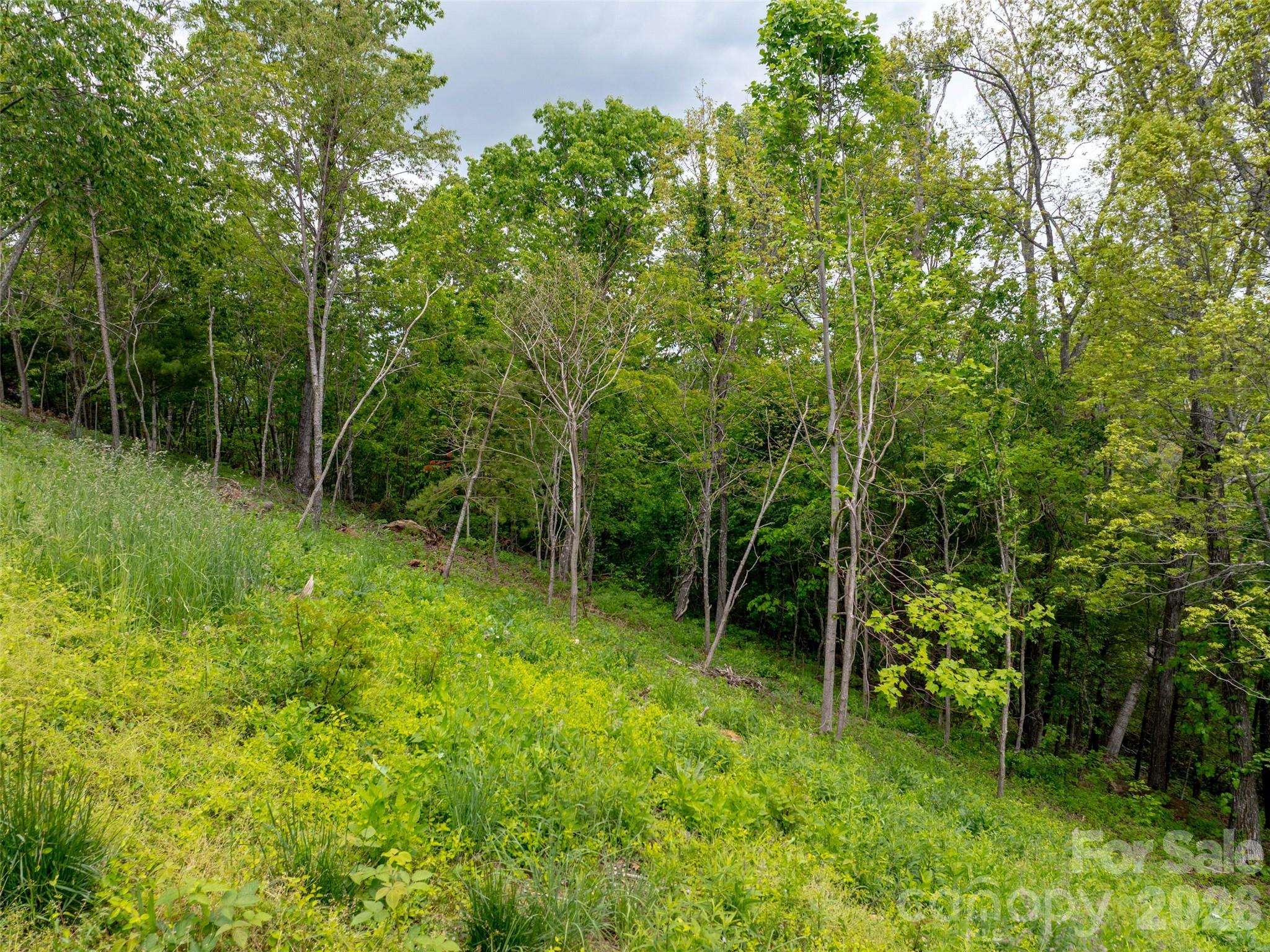 124 Summit Tower Circle Property Photo 5