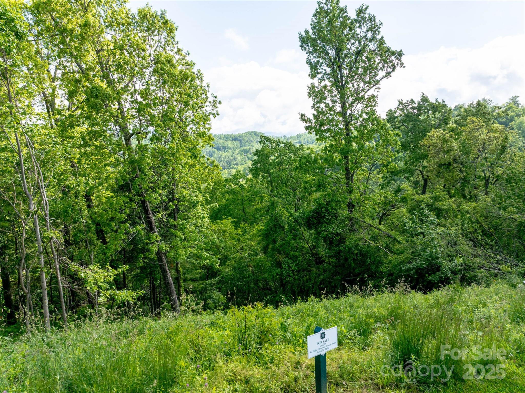 124 Summit Tower Circle Property Photo 6