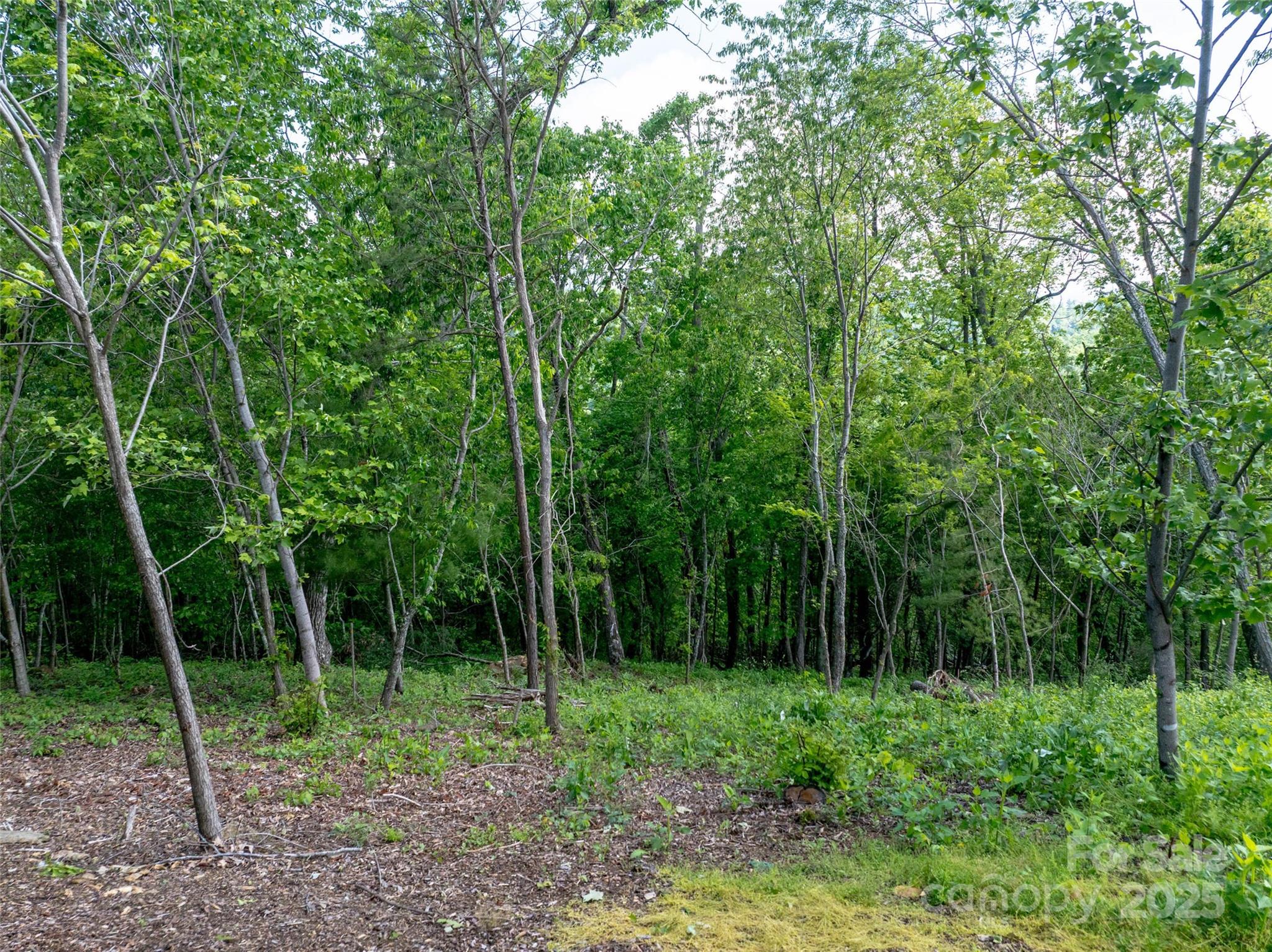 124 Summit Tower Circle Property Photo 14