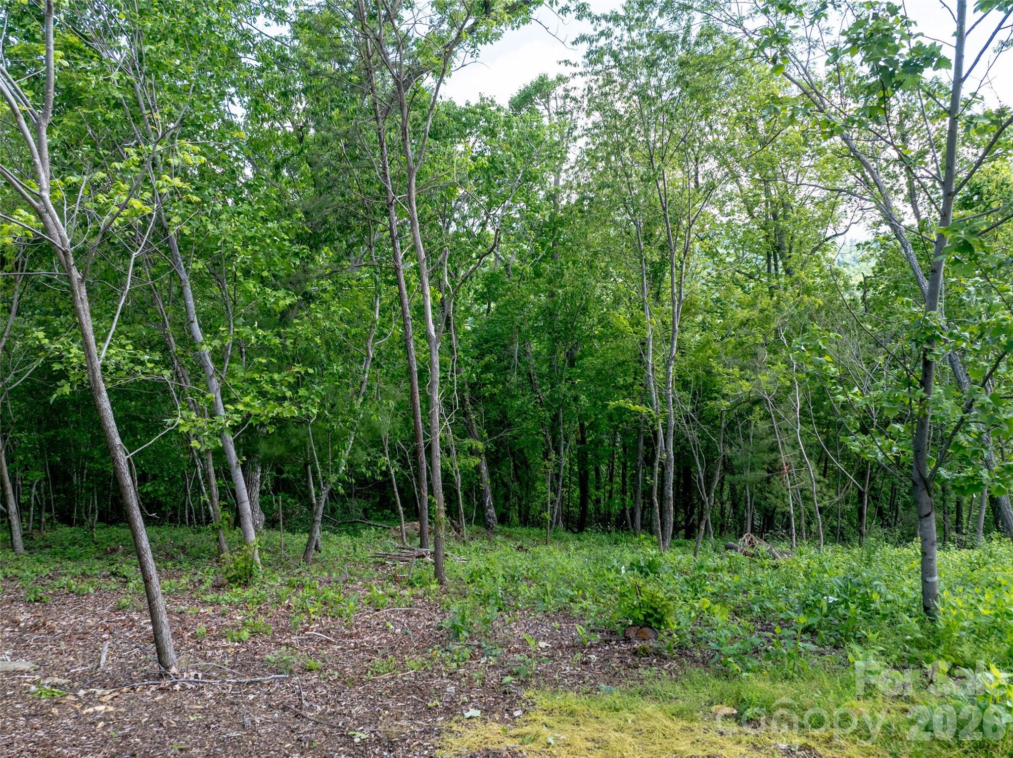 124 Summit Tower Circle Property Photo 14
