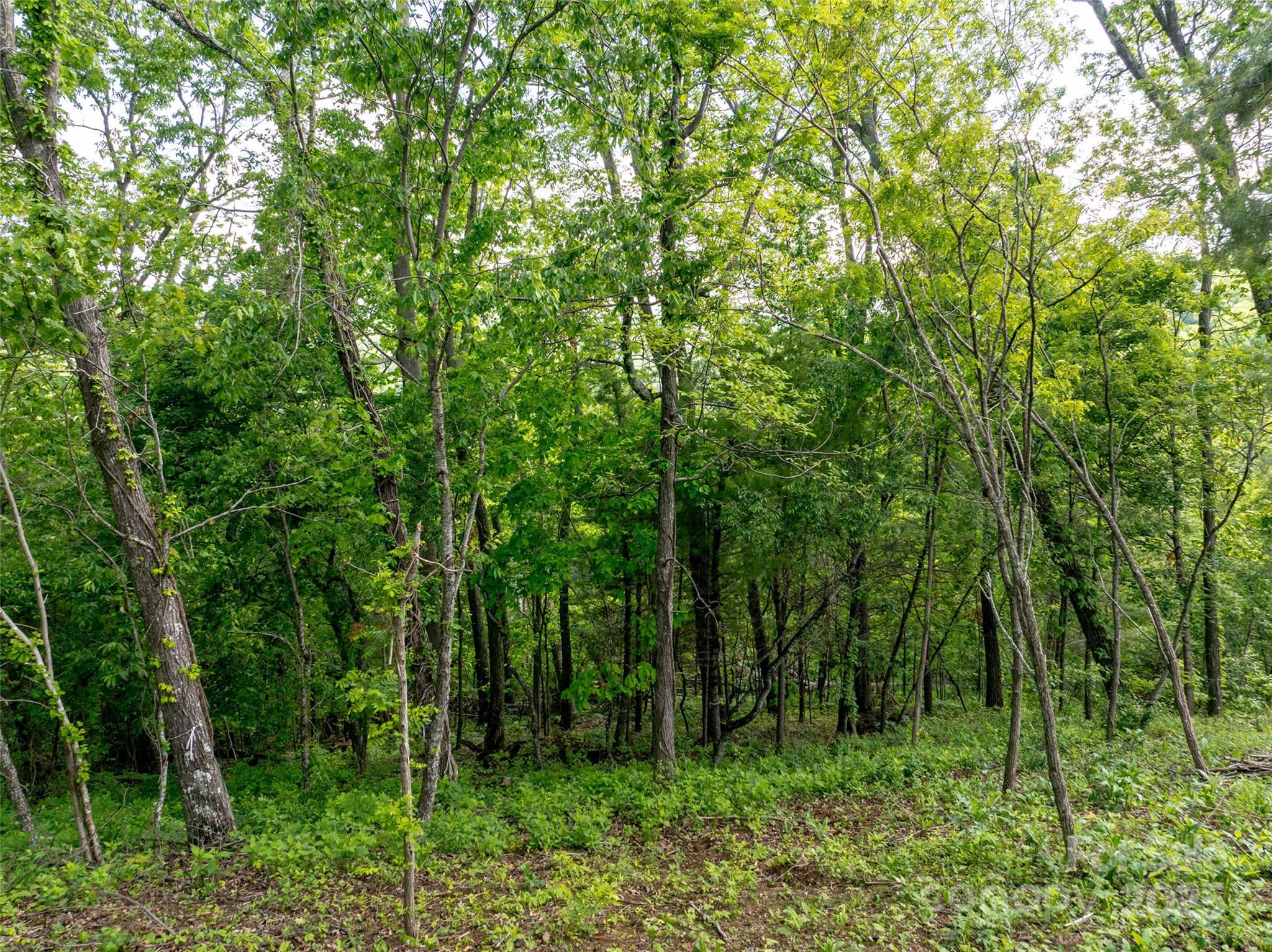 124 Summit Tower Circle Property Photo 15