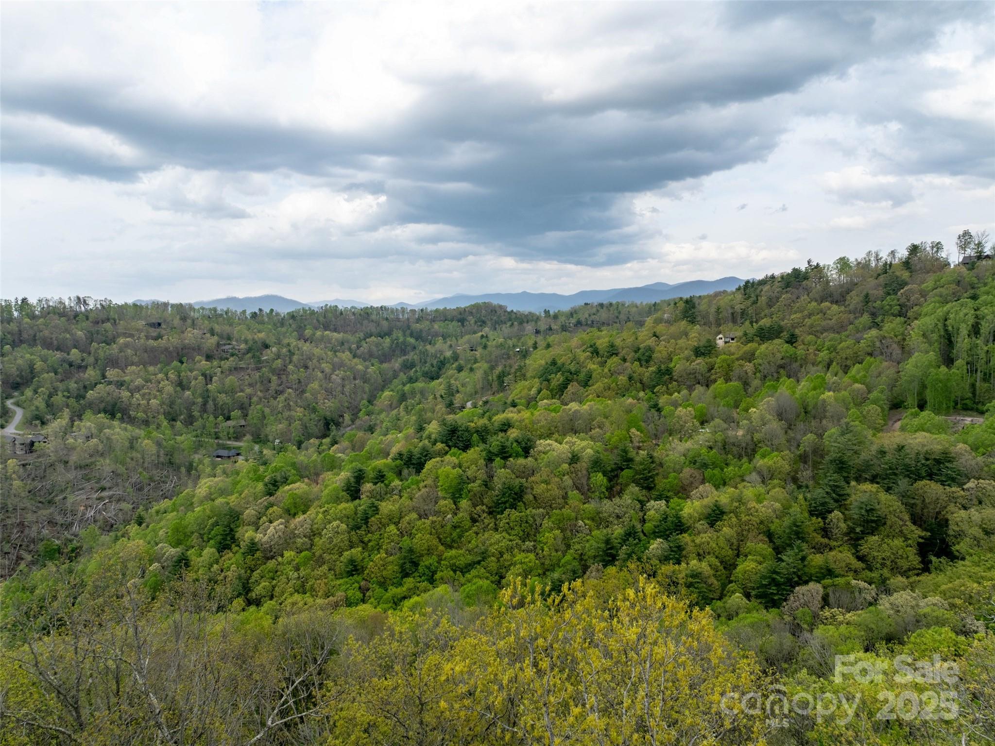 124 Summit Tower Circle Property Photo 17