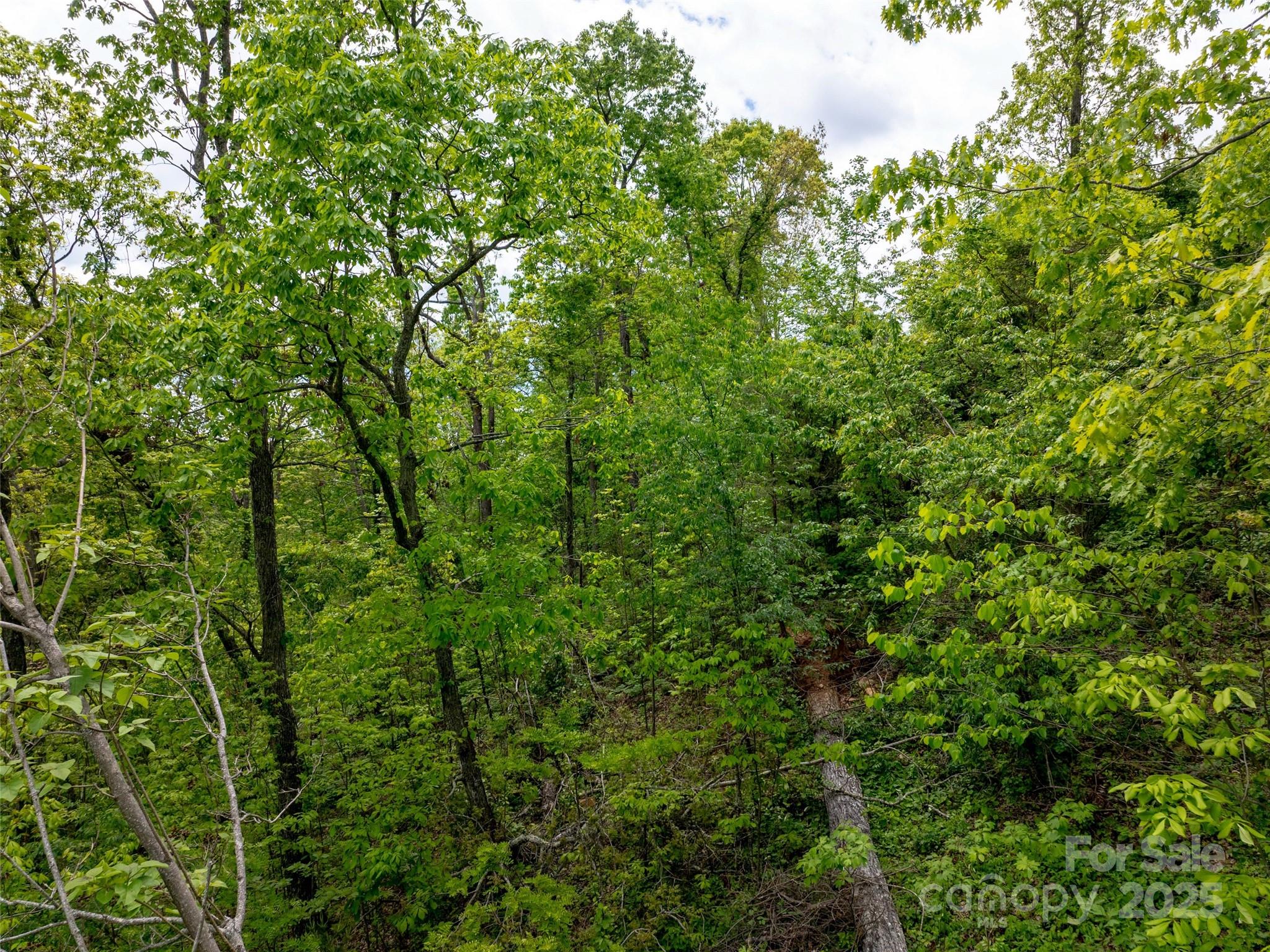 124 Summit Tower Circle Property Photo 22