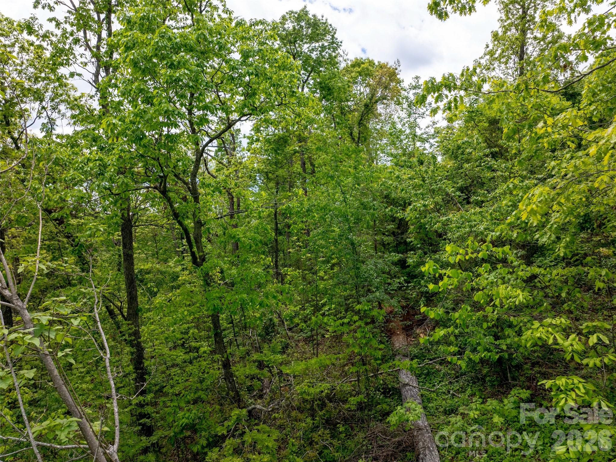 124 Summit Tower Circle Property Photo 22