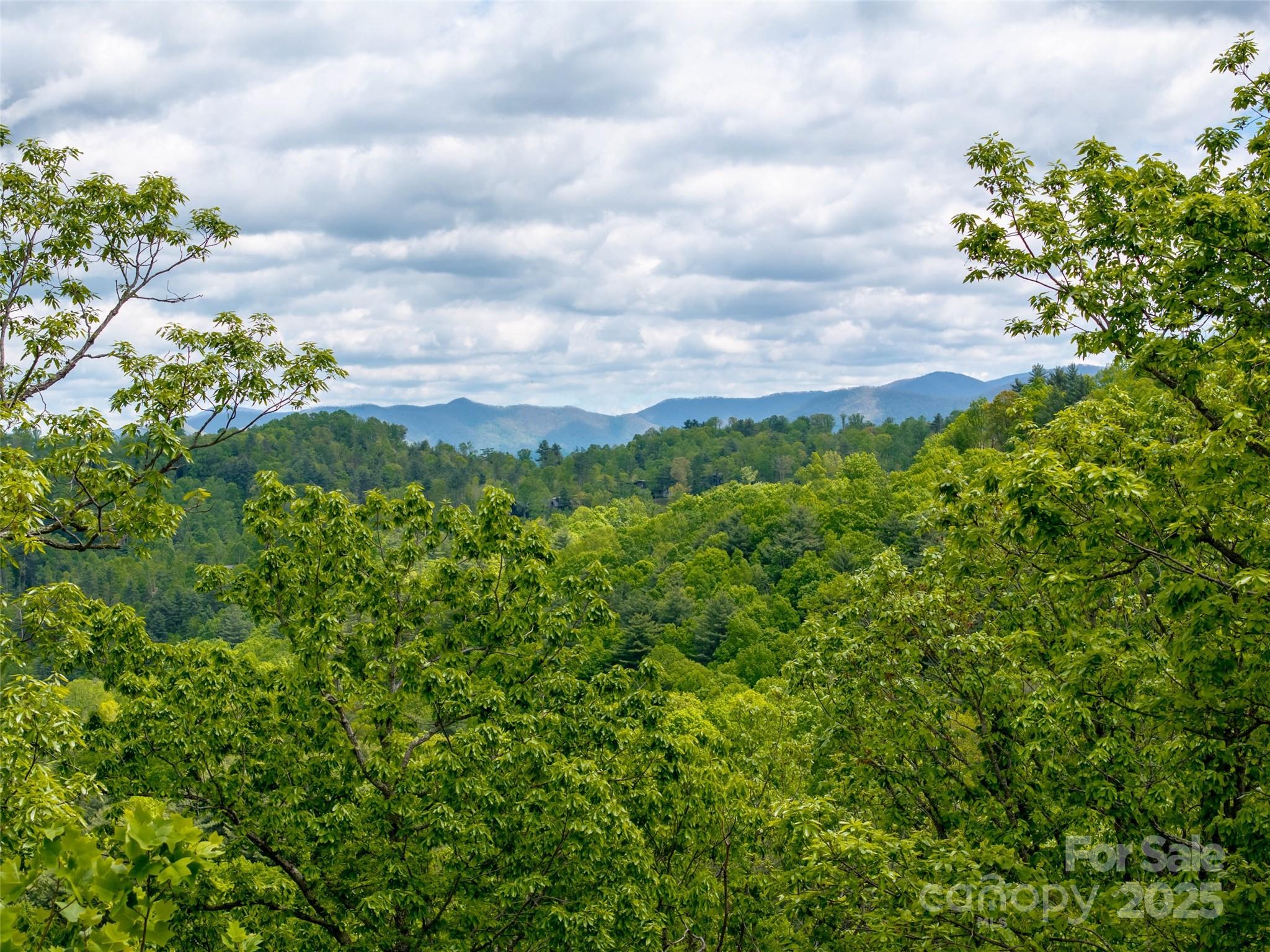 124 Summit Tower Circle Property Photo 23