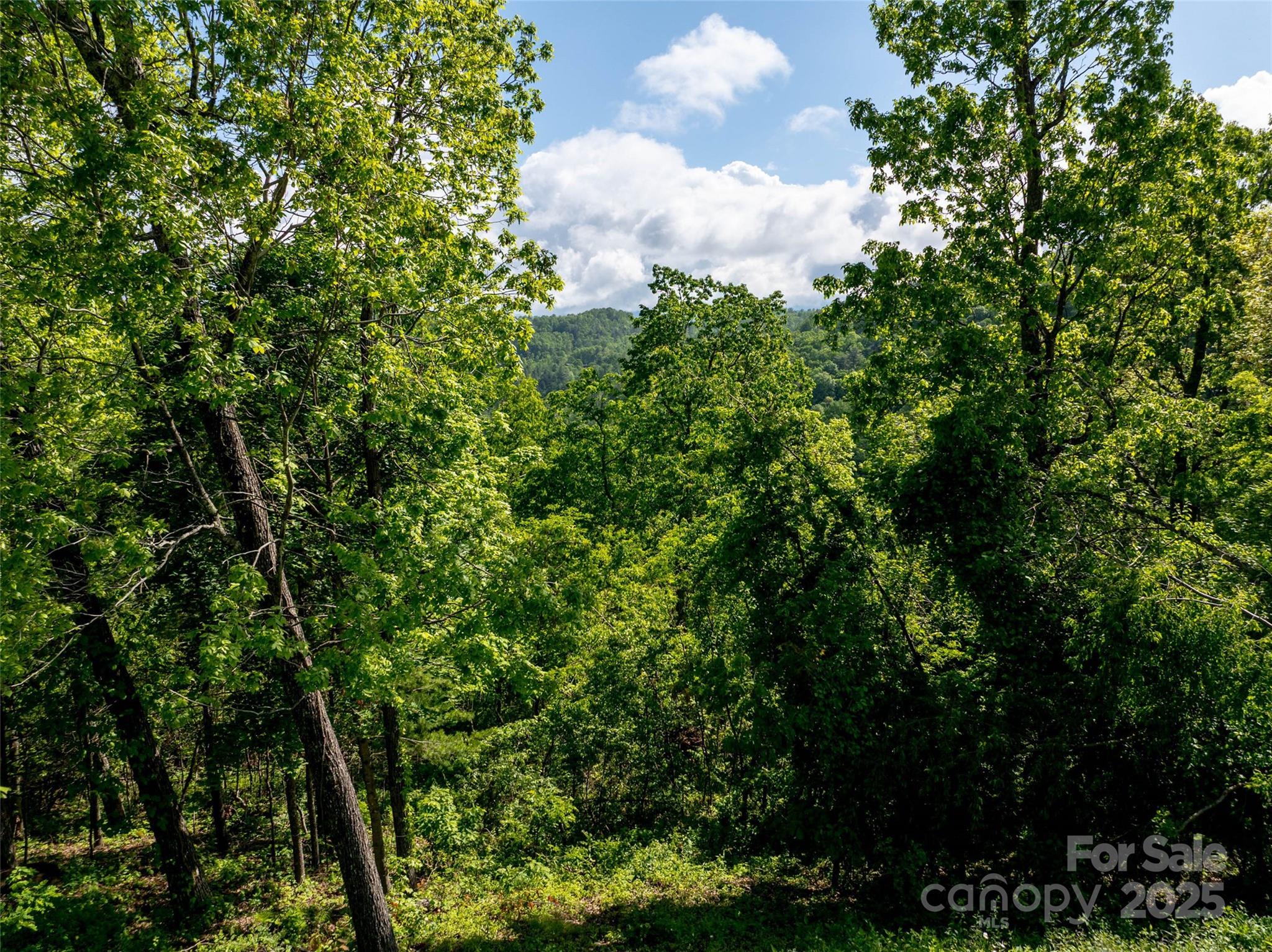 124 Summit Tower Circle Property Photo 24