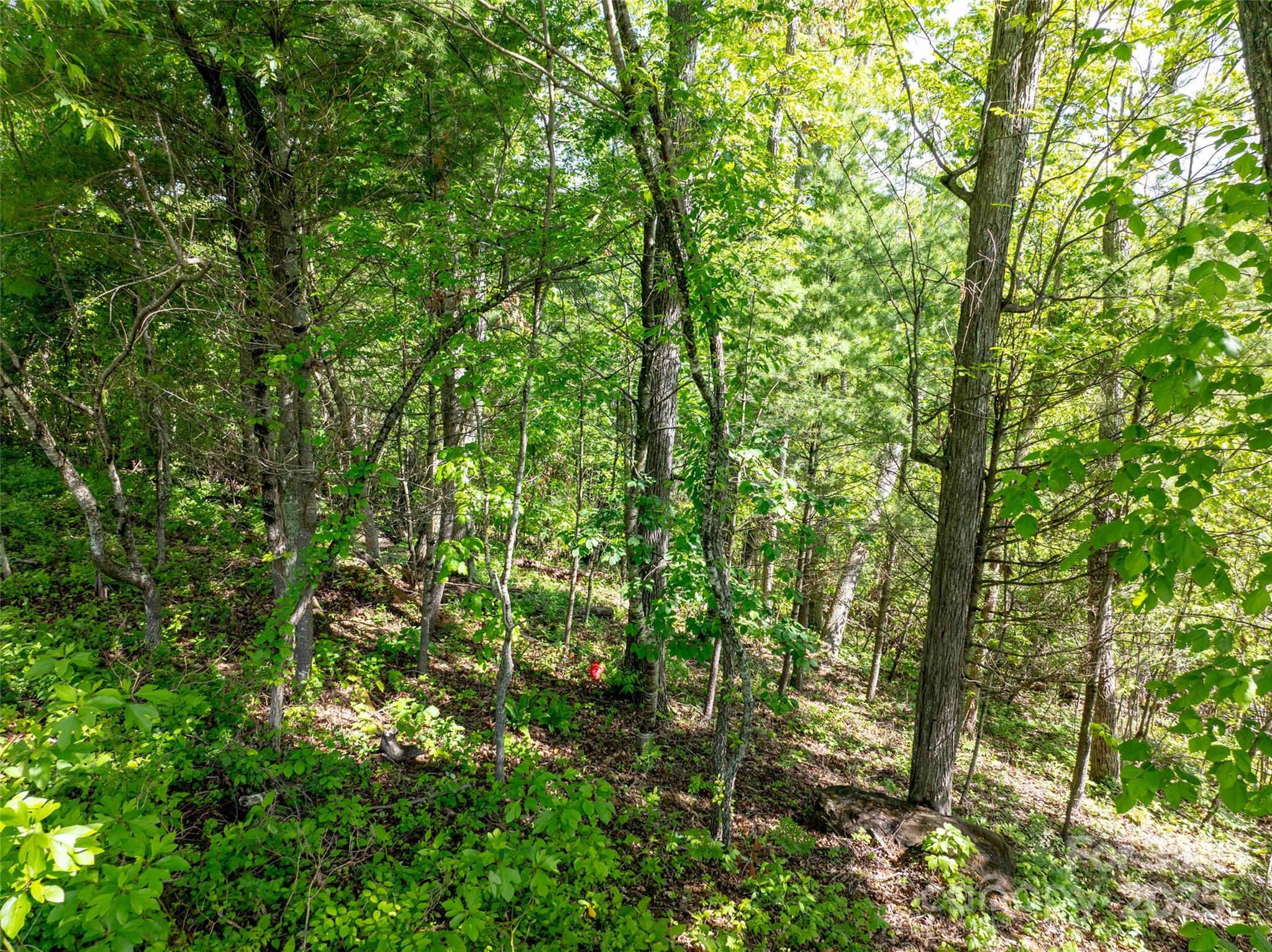 124 Summit Tower Circle Property Photo 25