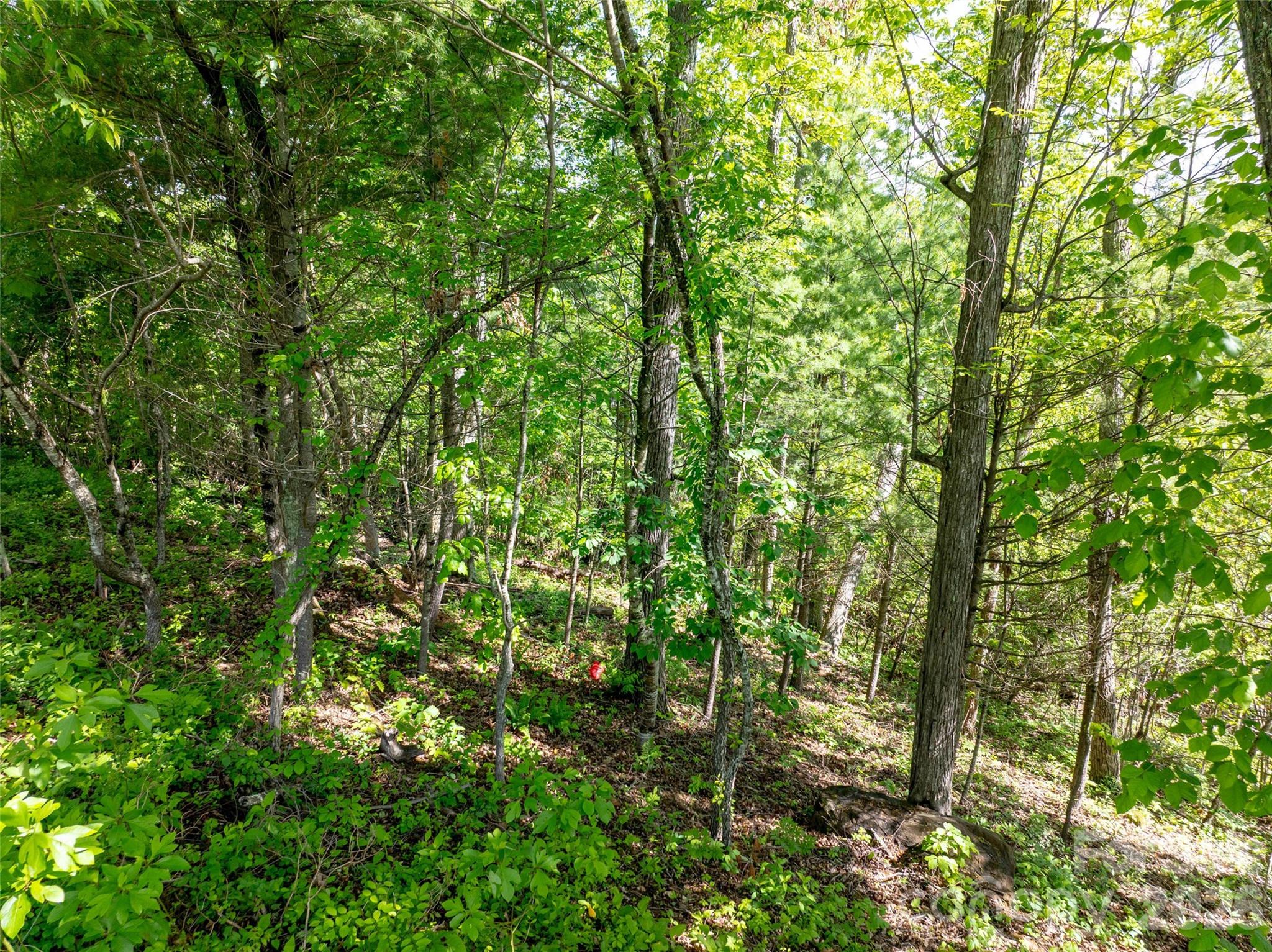124 Summit Tower Circle Property Photo 25