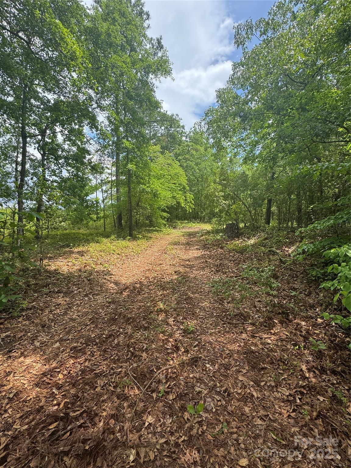3742 Providence Road Property Photo