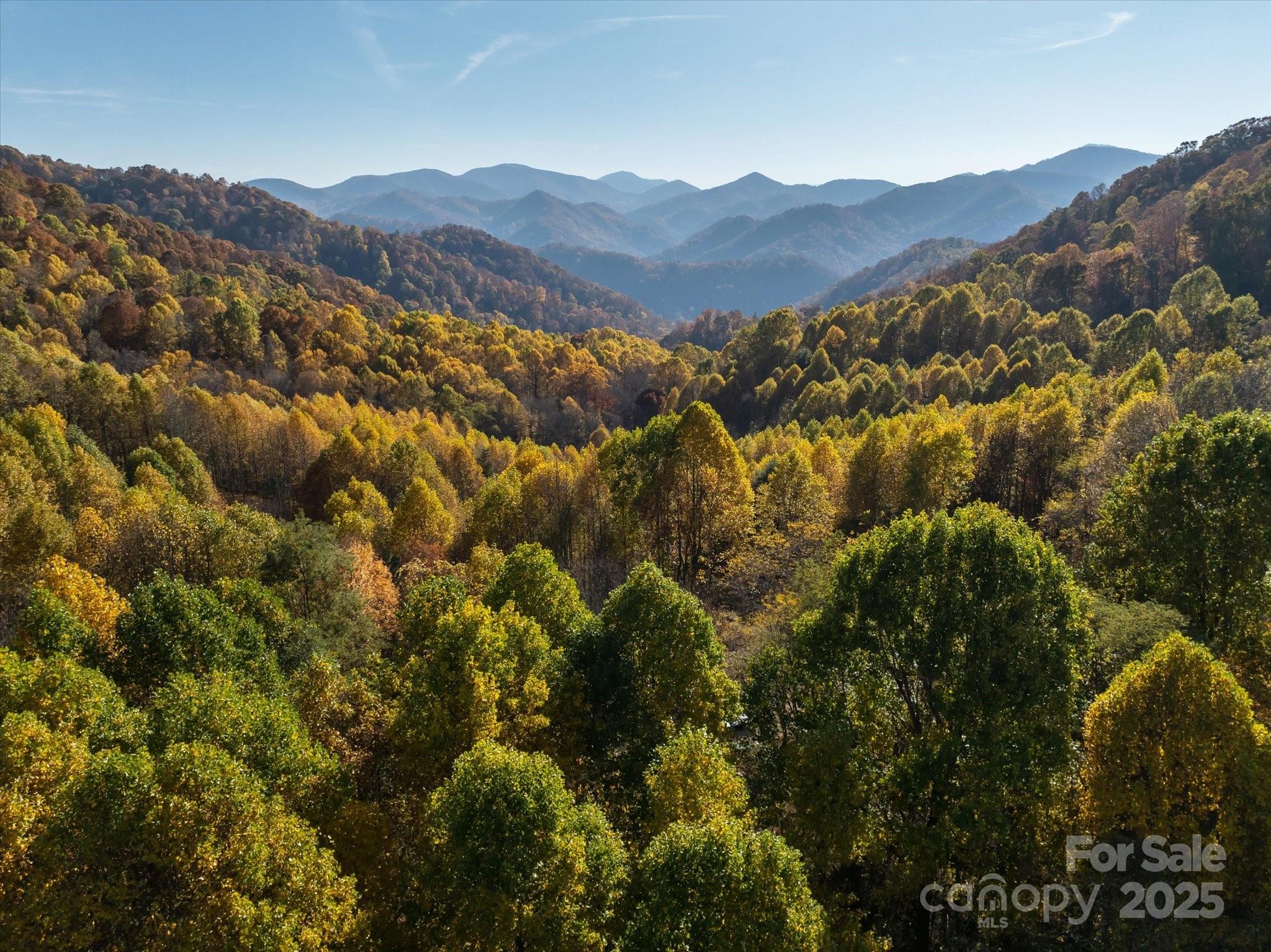 1397 Bee Branch Road Property Photo