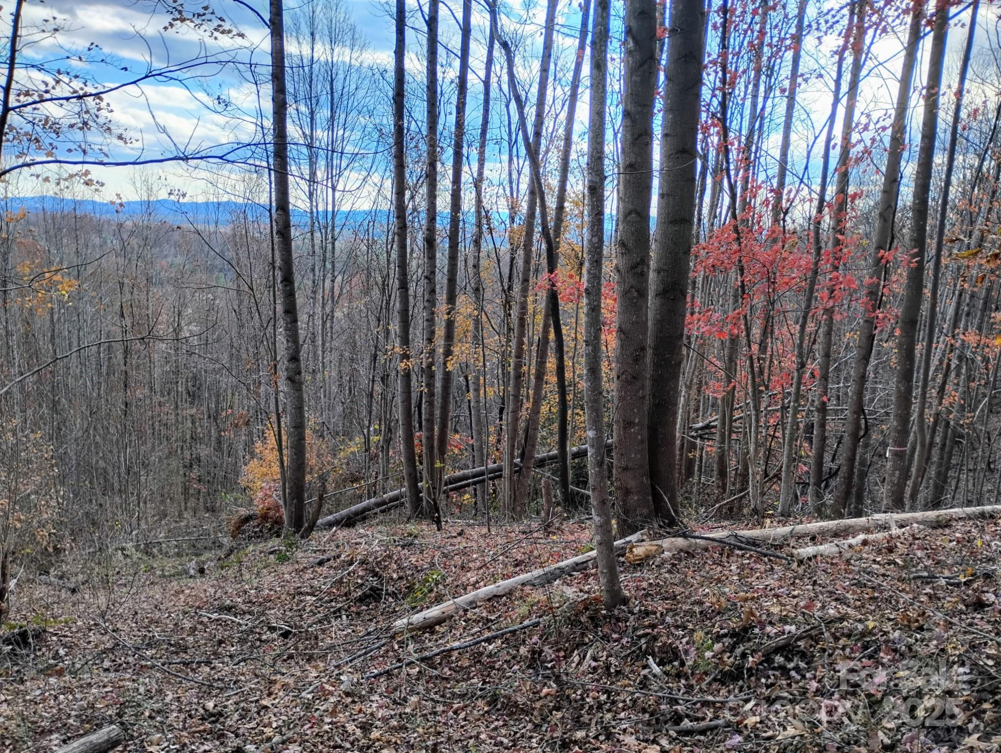 4899 White Oak Way Property Photo