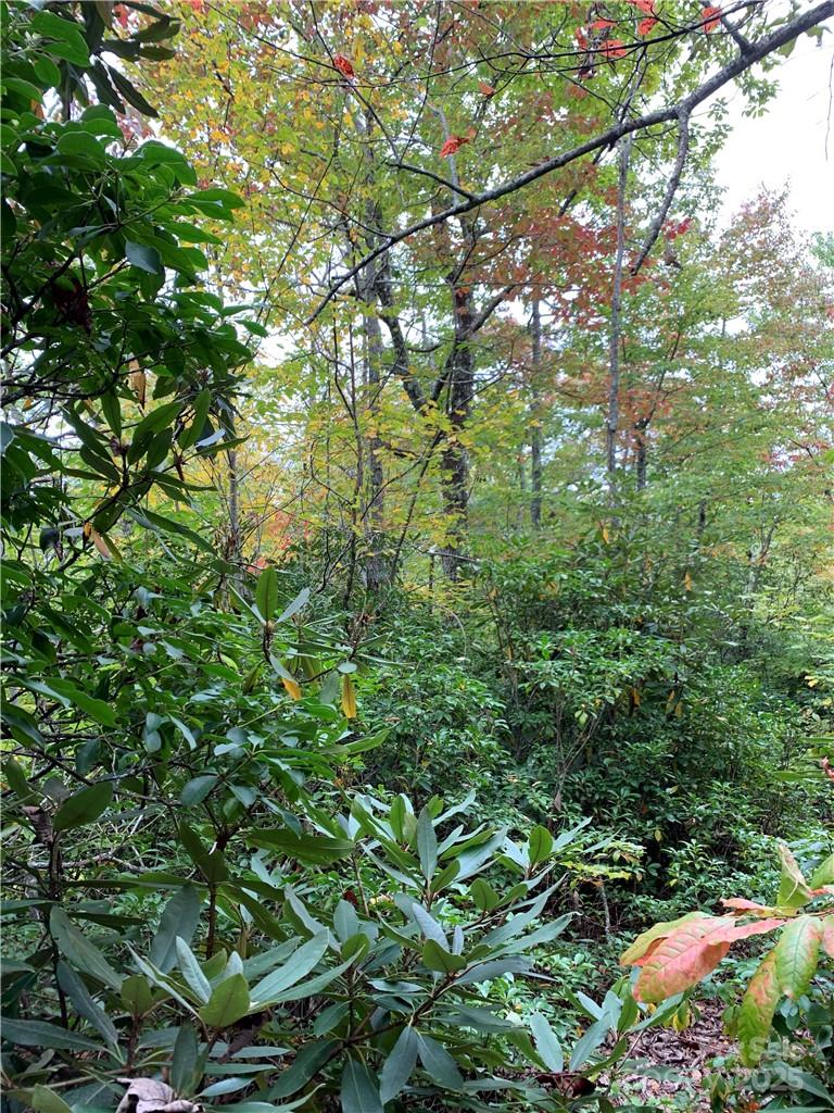 000 Eastatoe Gap Road Property Photo