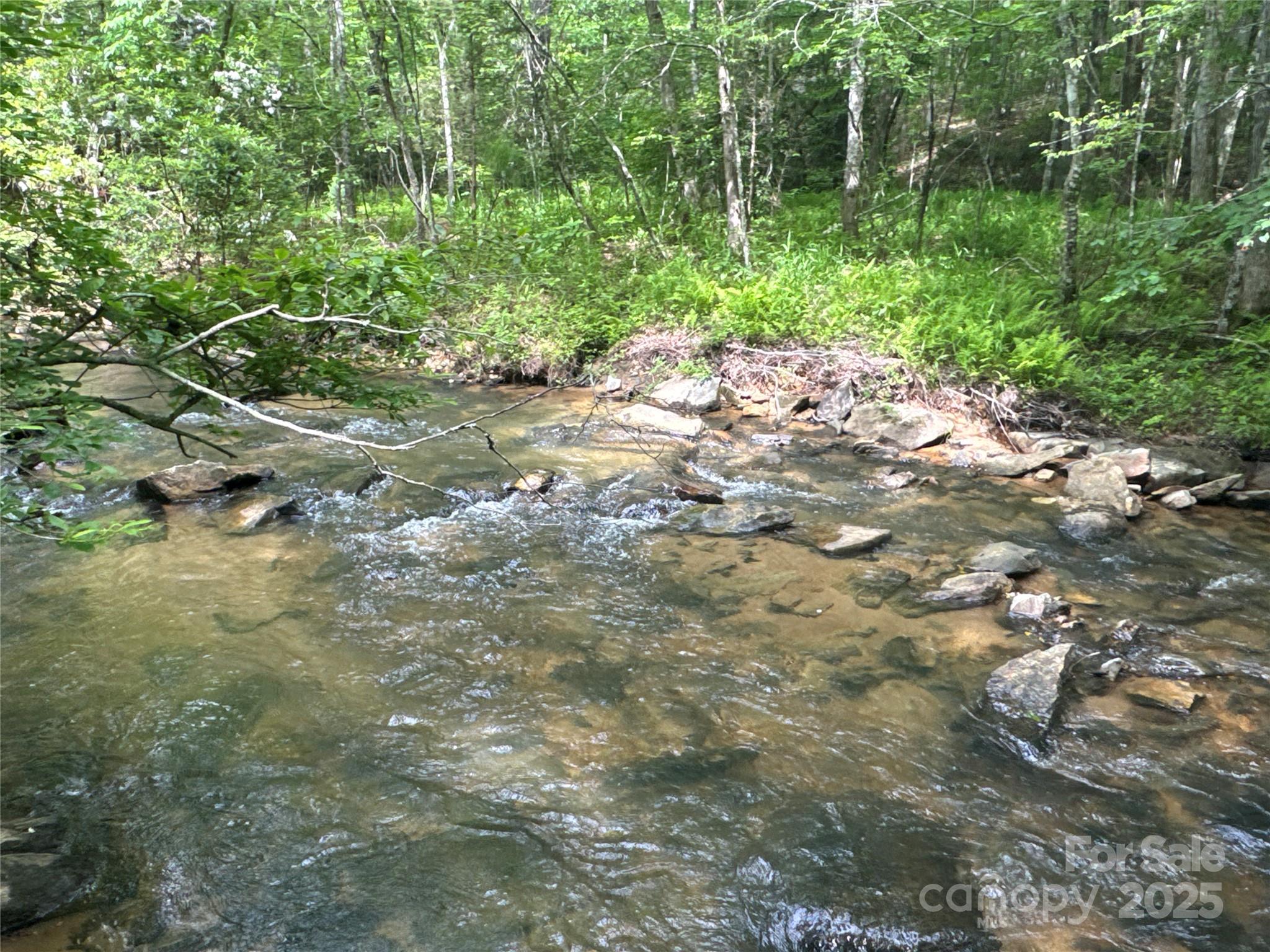 00 Vein Mountain Road Property Photo