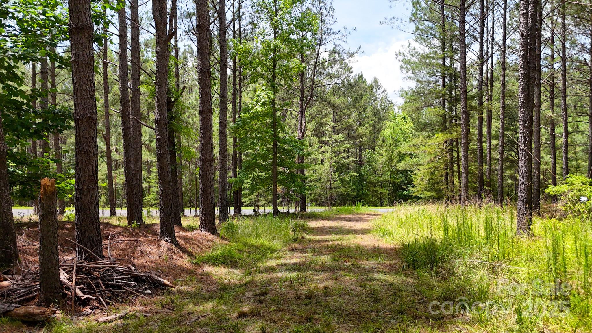 105 Whispering Pines Lane Property Photo 12