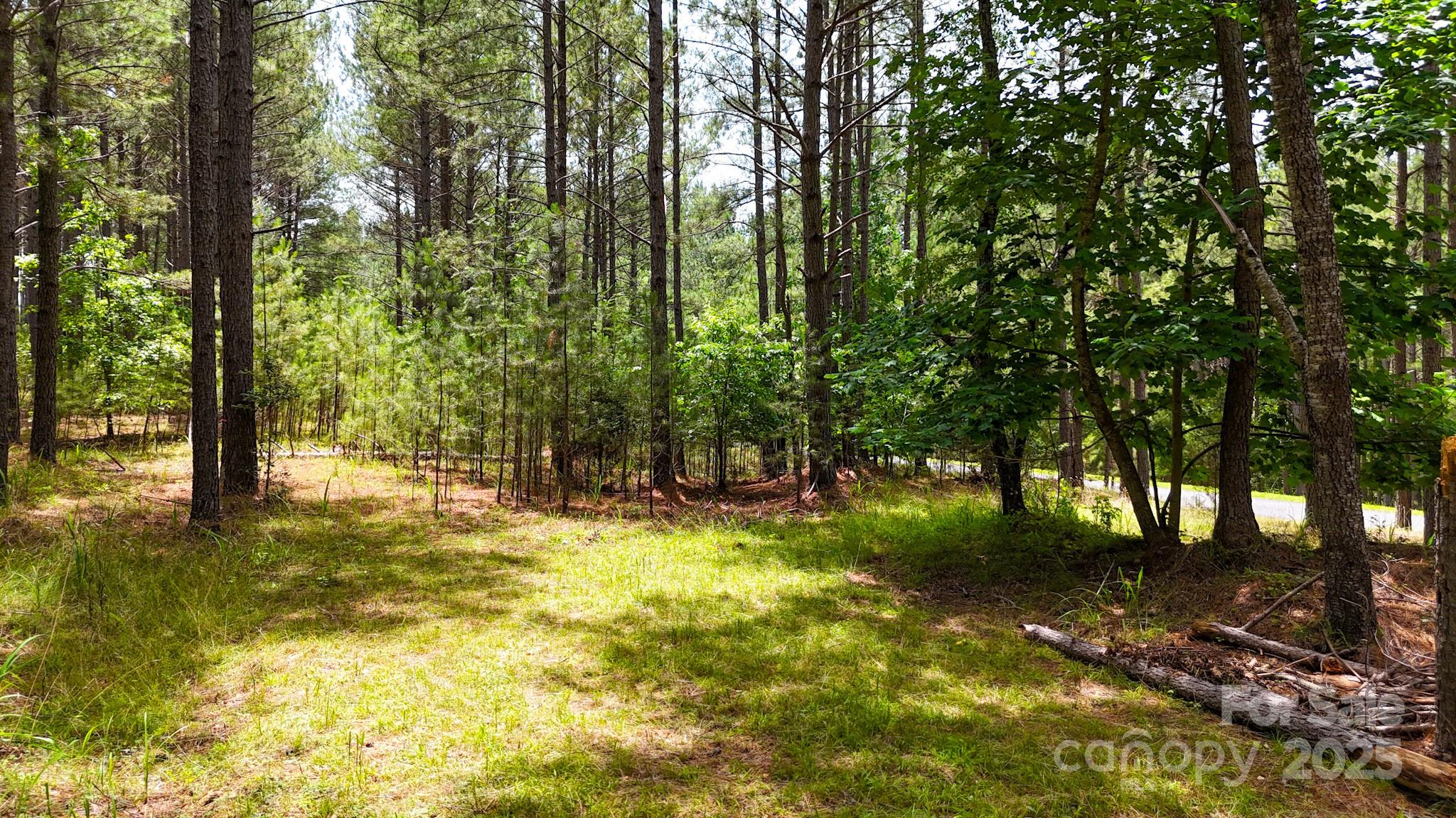 105 Whispering Pines Lane Property Photo 13