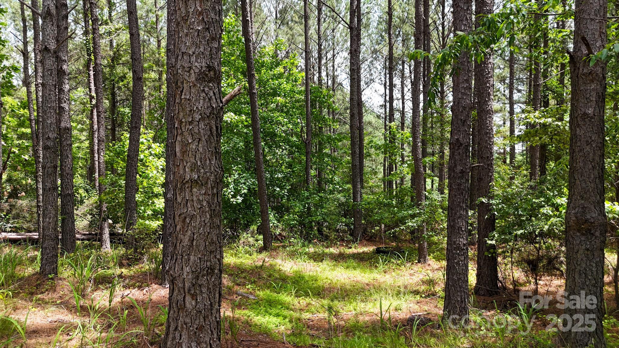 105 Whispering Pines Lane Property Photo 15