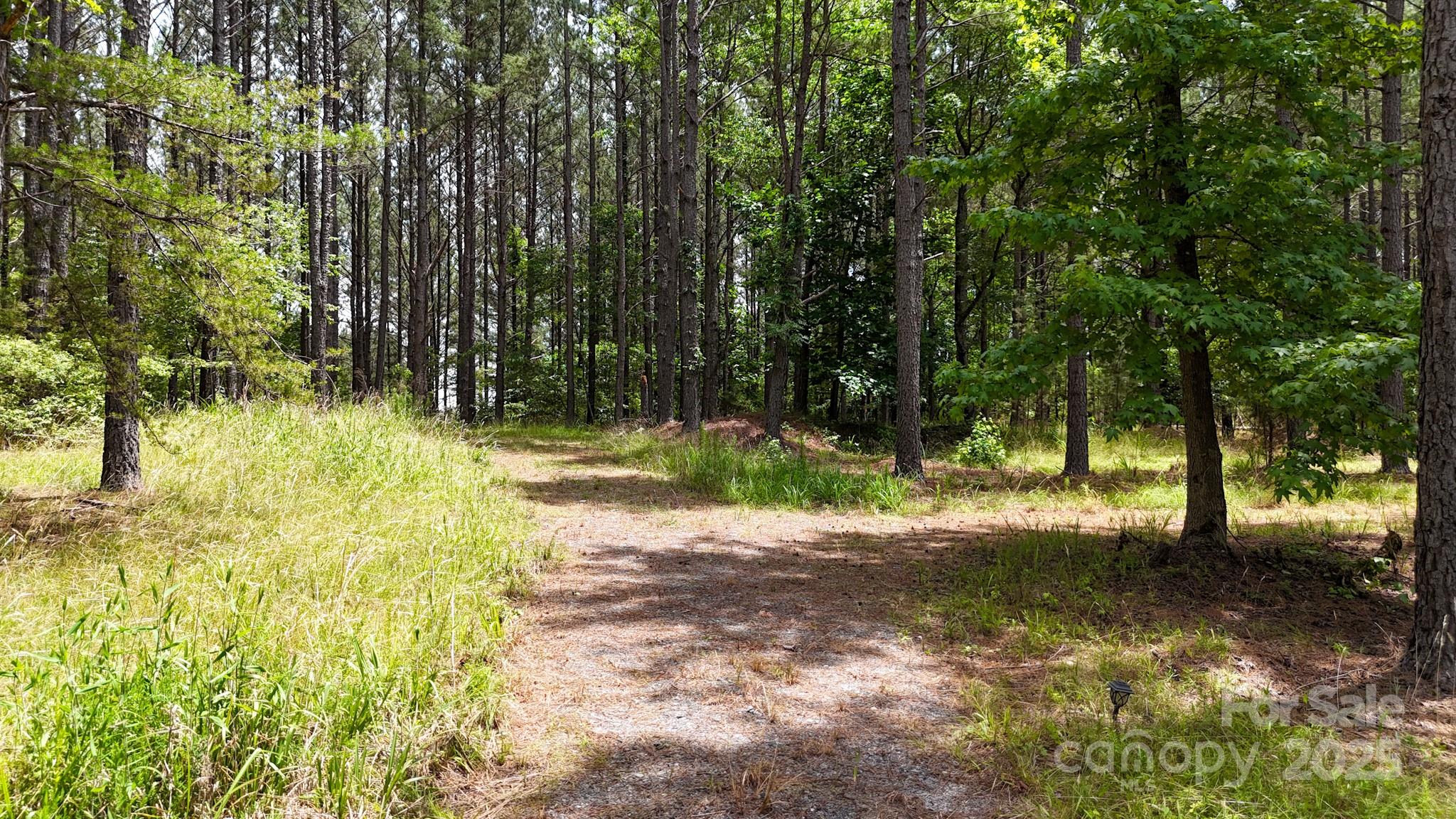 105 Whispering Pines Lane Property Photo 16