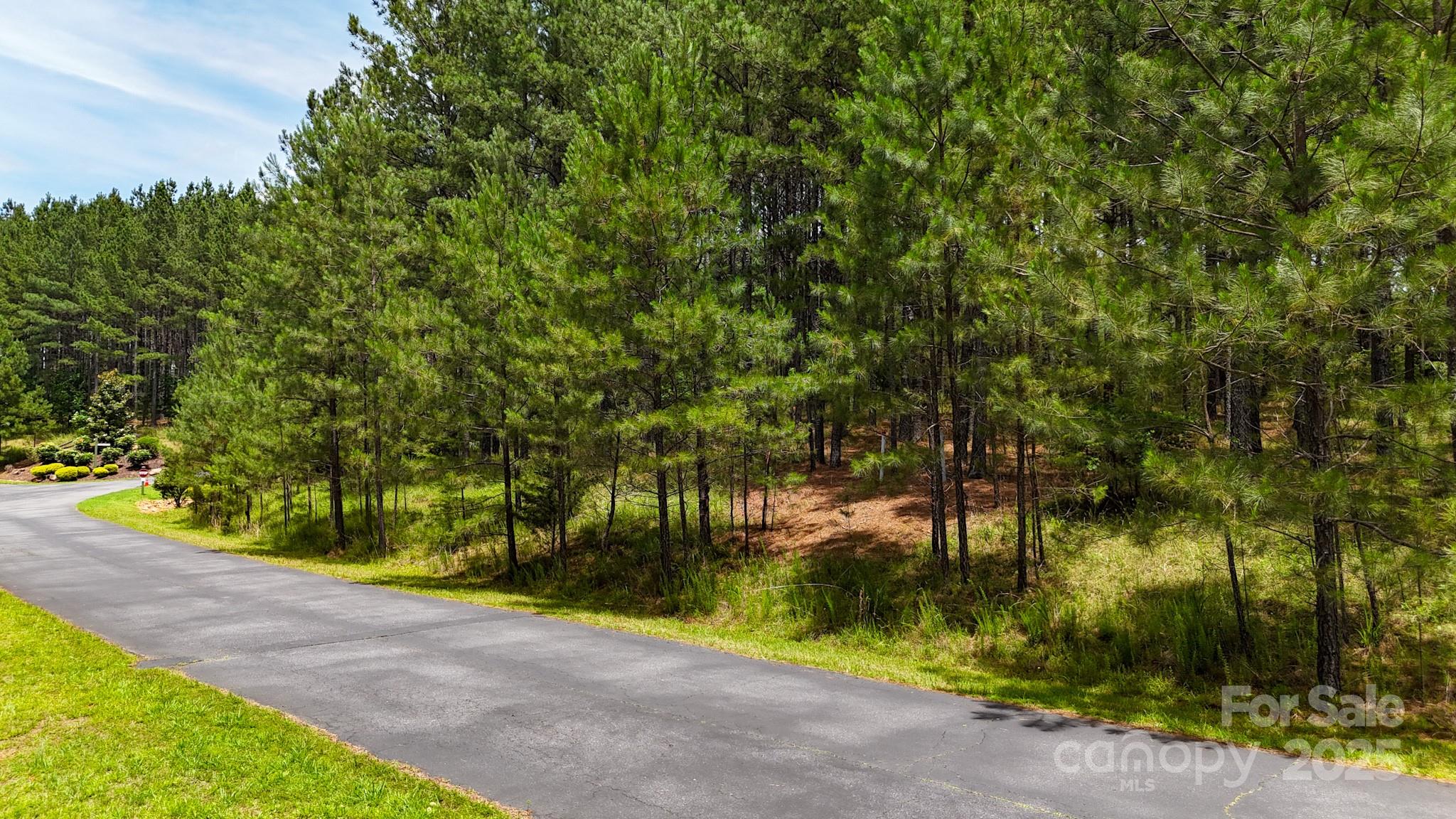 105 Whispering Pines Lane Property Photo 18