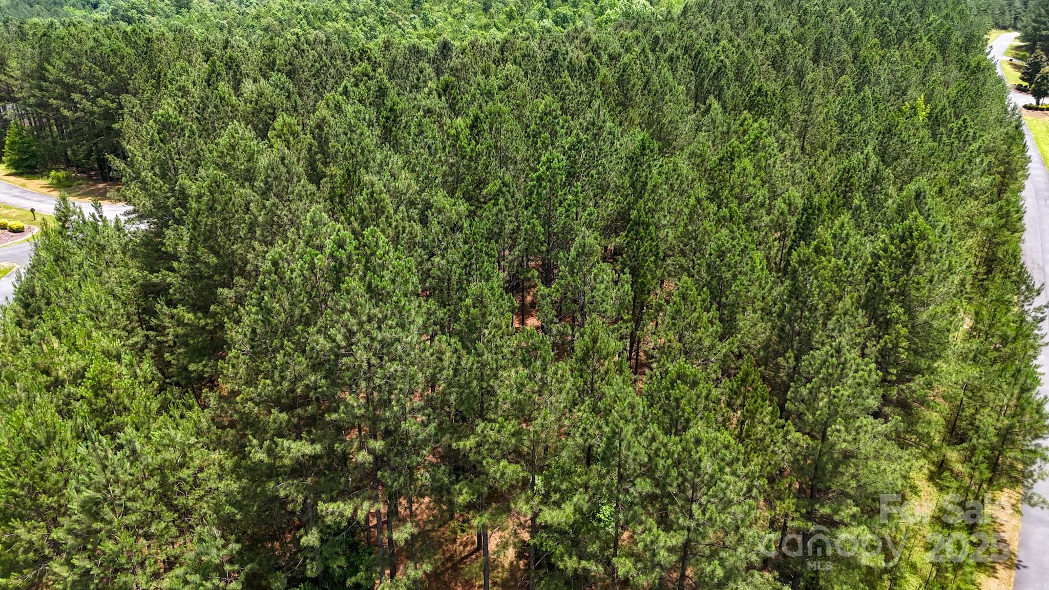 105 Whispering Pines Lane Property Photo 19