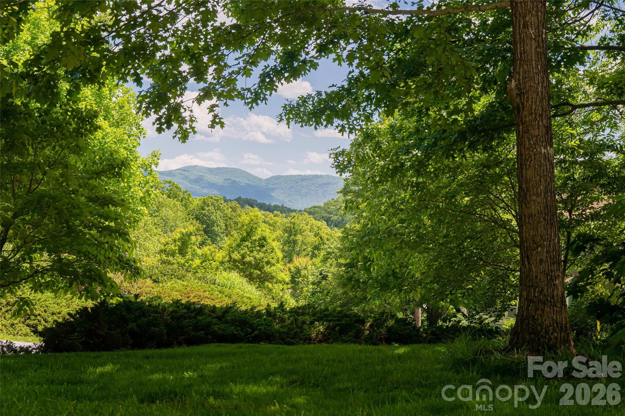 20 E East Owl Creek Lane Property Photo 6