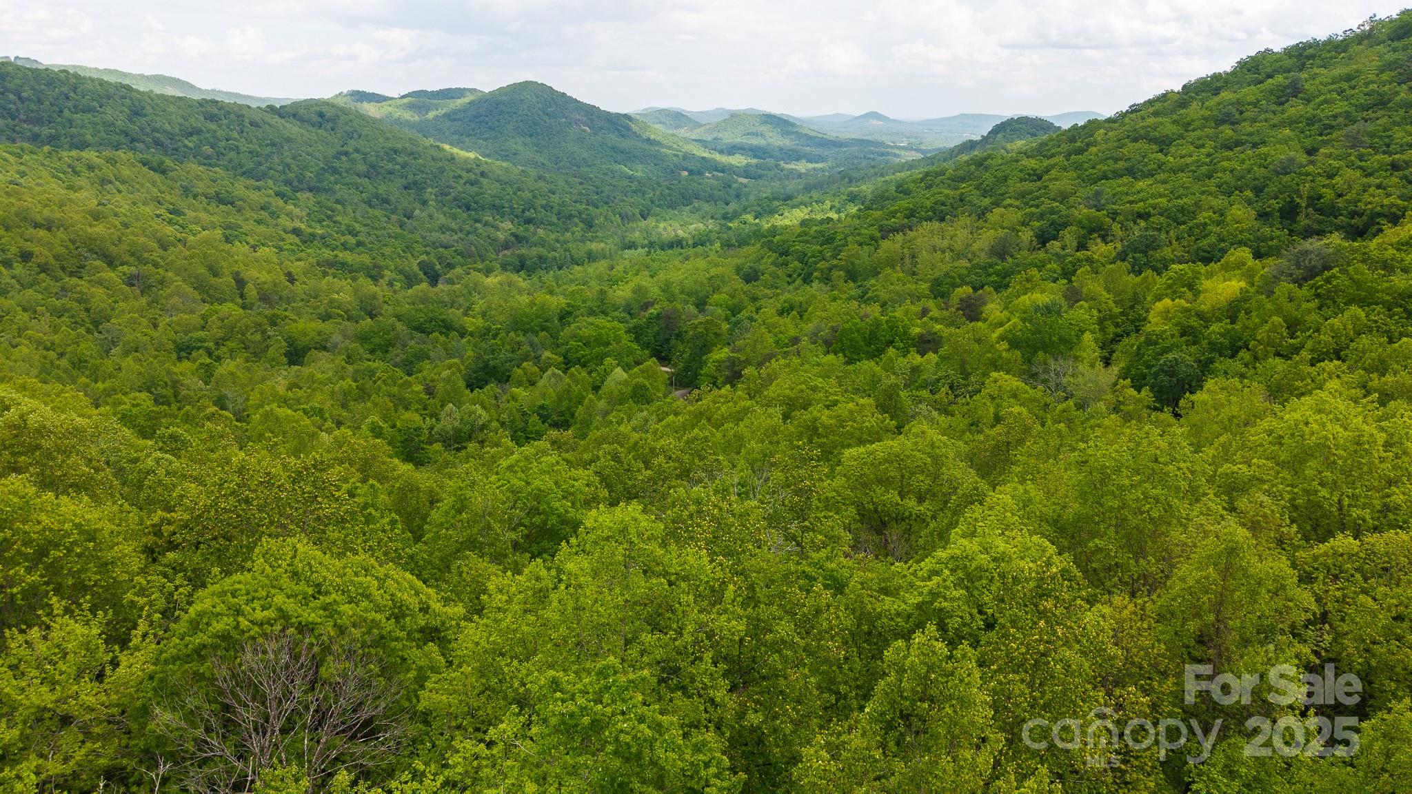 Tbd Cove Gap Road Multiple Lots Property Photo 1