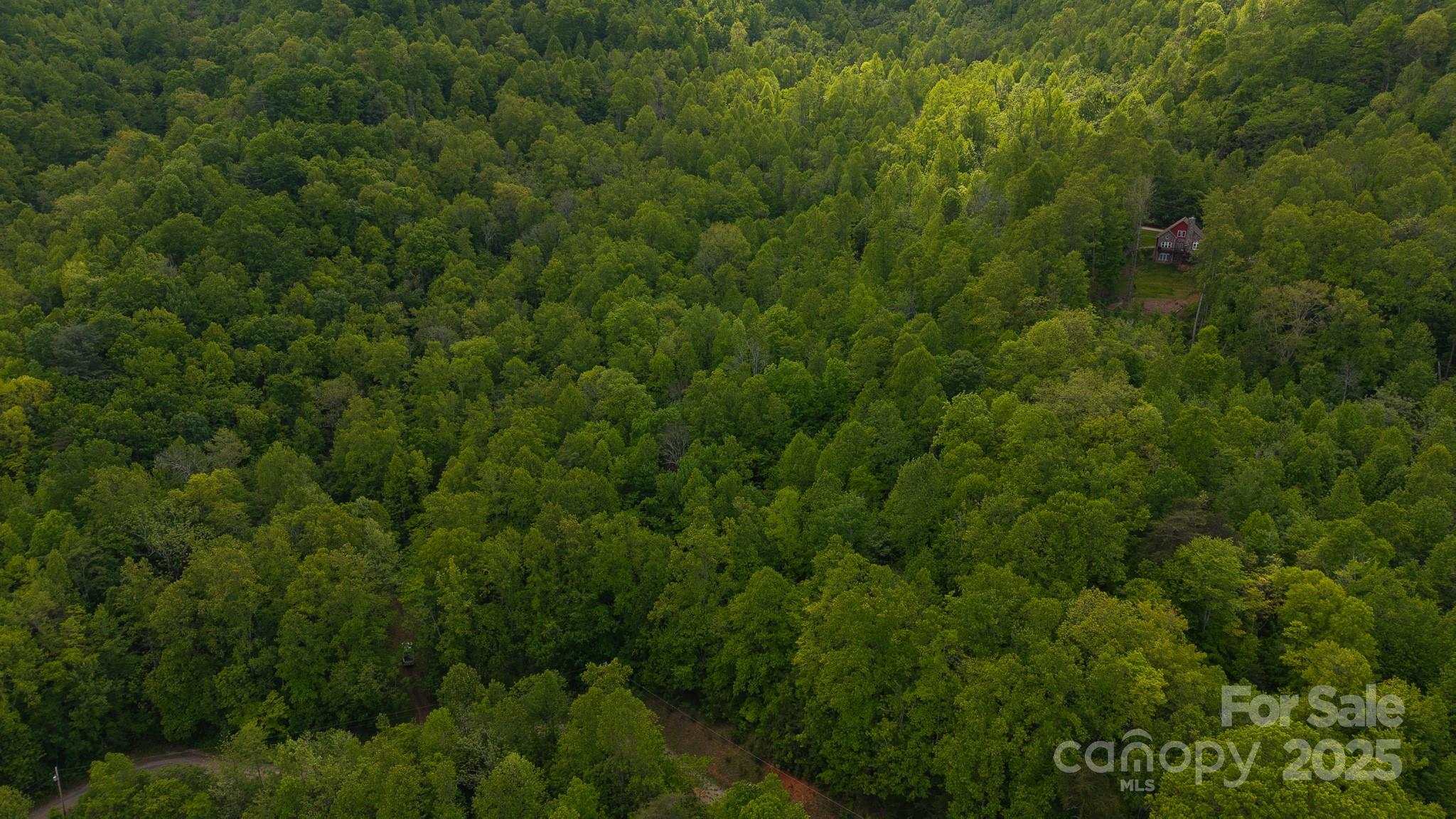 Tbd Cove Gap Road Multiple Lots Property Photo 2