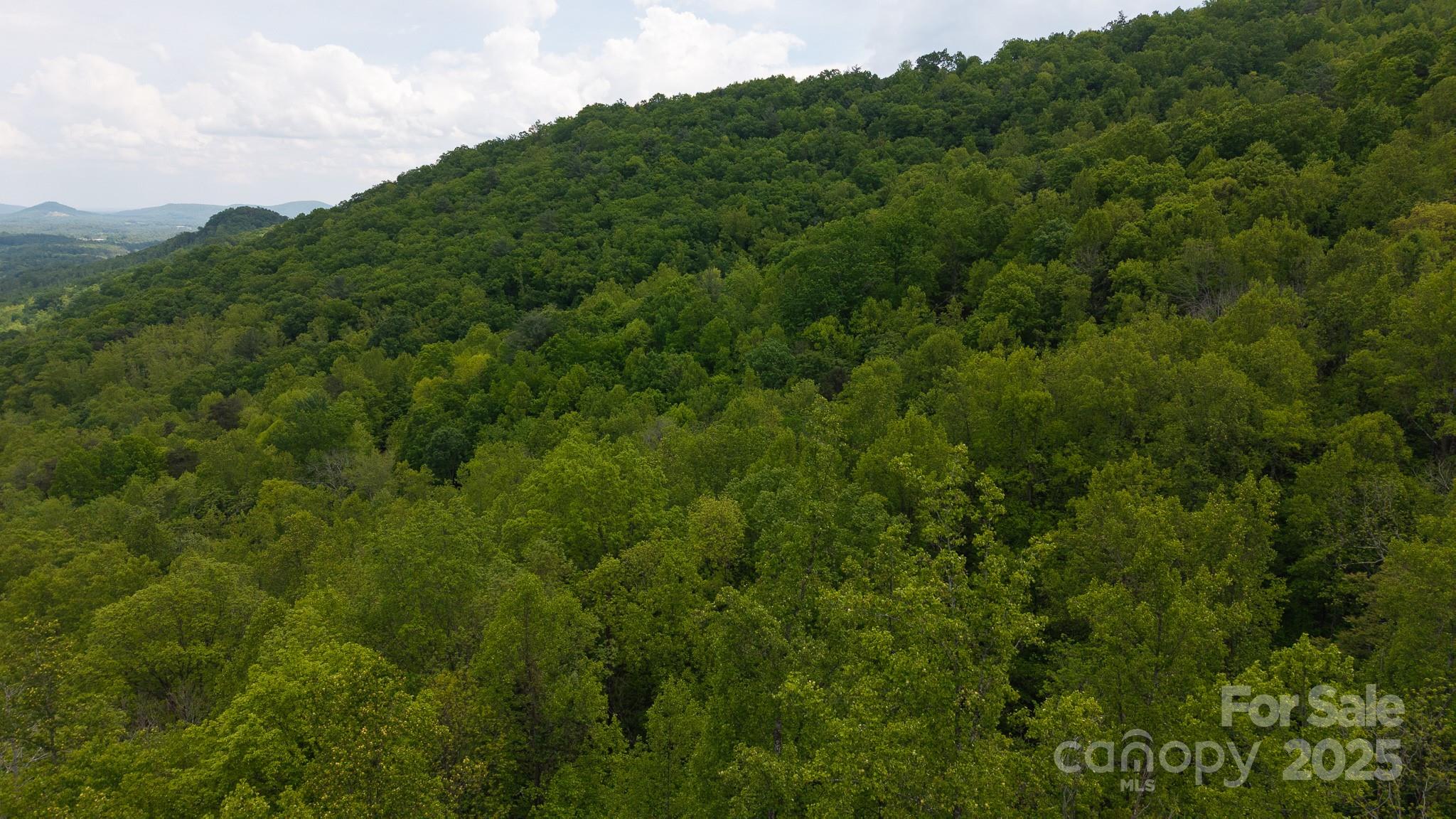 Tbd Cove Gap Road Multiple Lots Property Photo 4