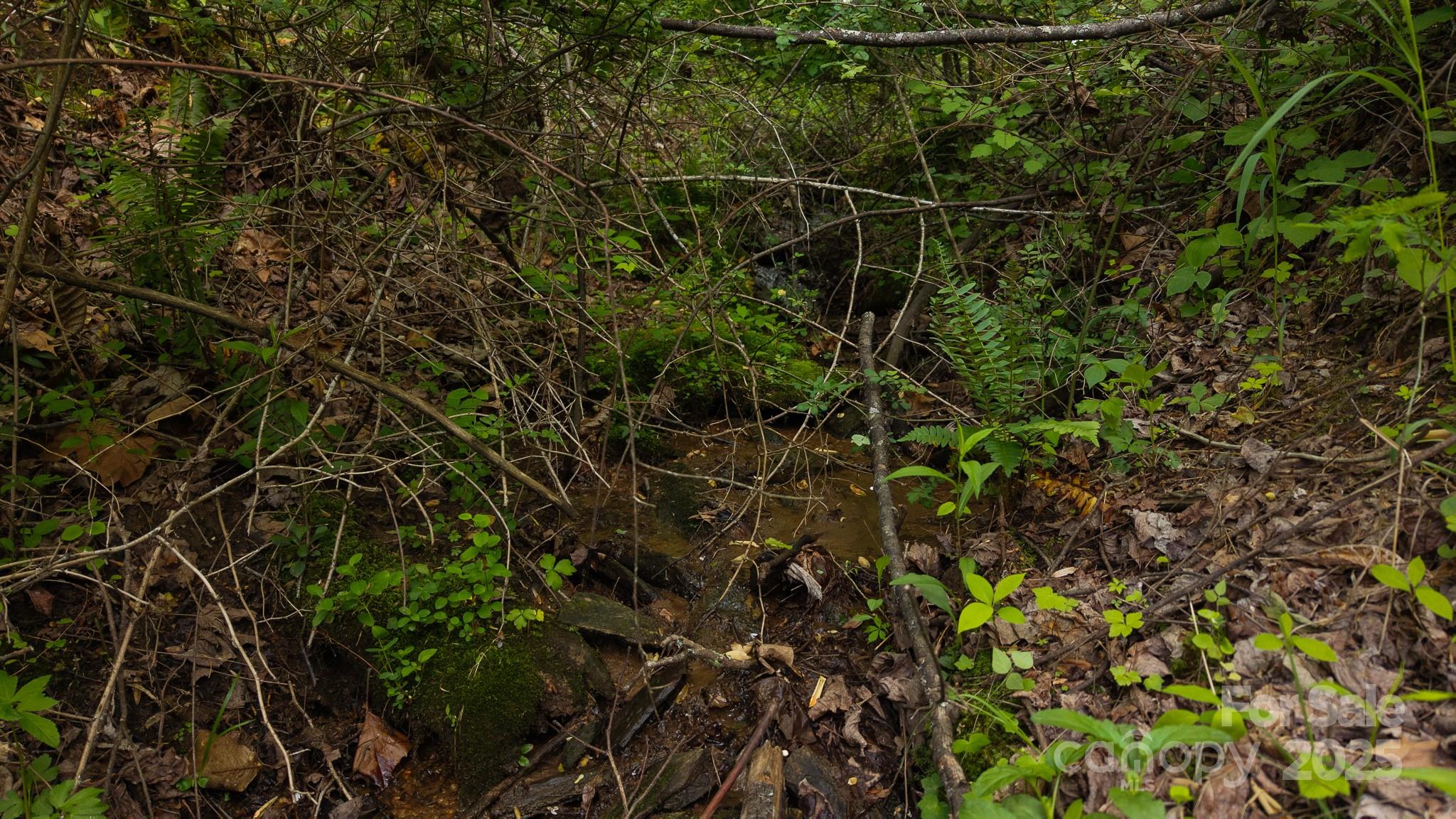 Tbd Cove Gap Road Multiple Lots Property Photo 5