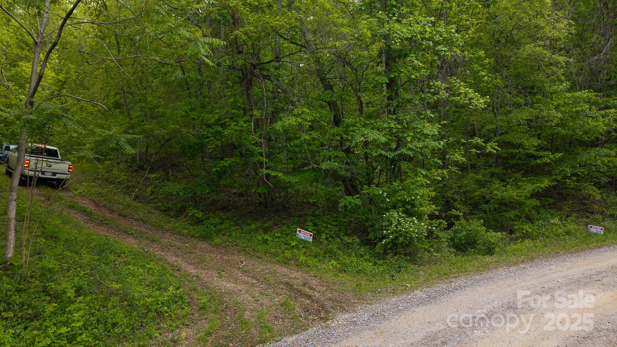 Tbd Cove Gap Road Multiple Lots Property Photo 6