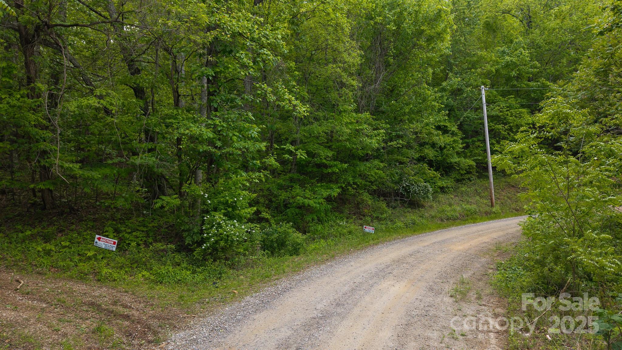 Tbd Cove Gap Road Multiple Lots Property Photo 7