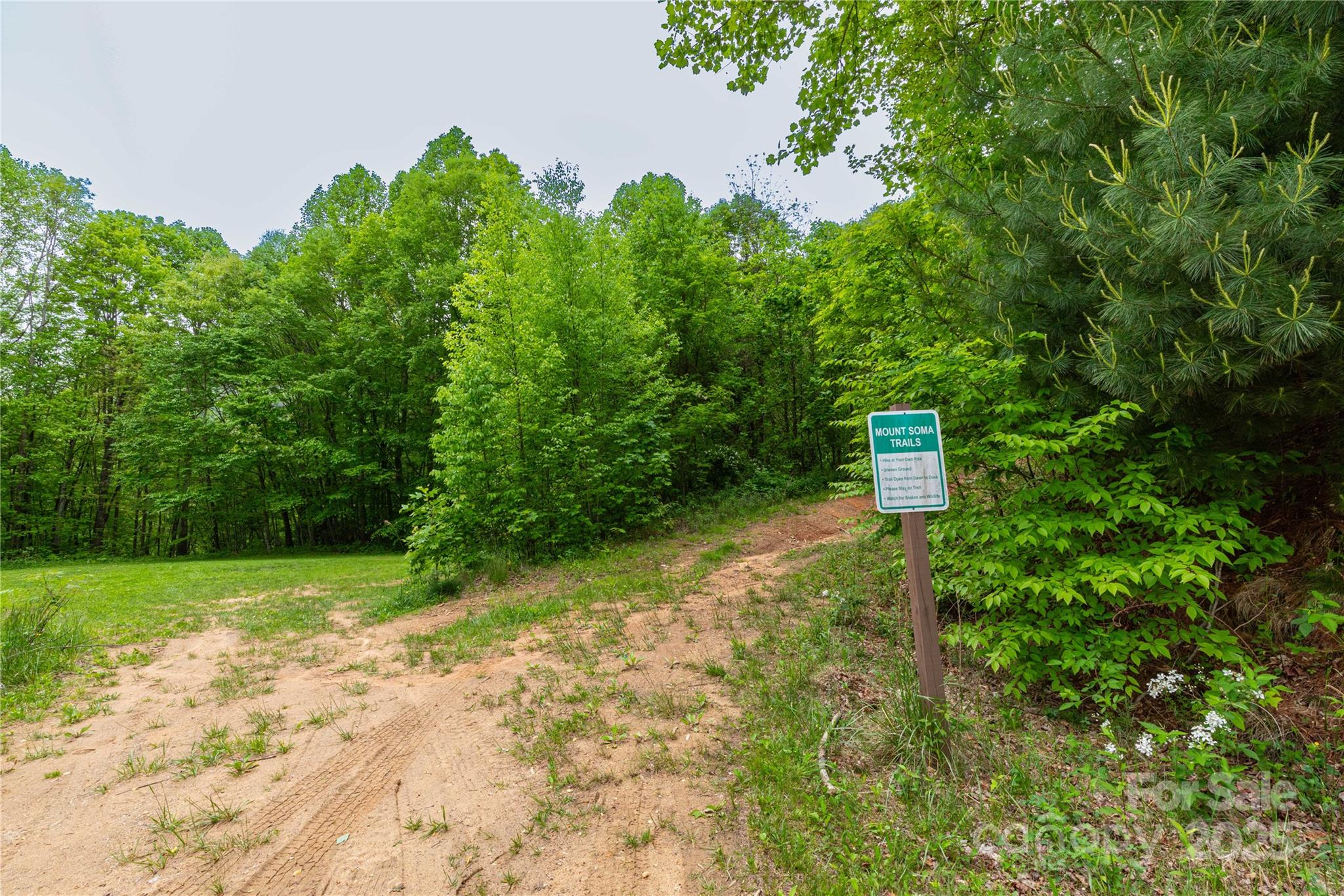 129 Mount Soma Boulevard Property Photo 6