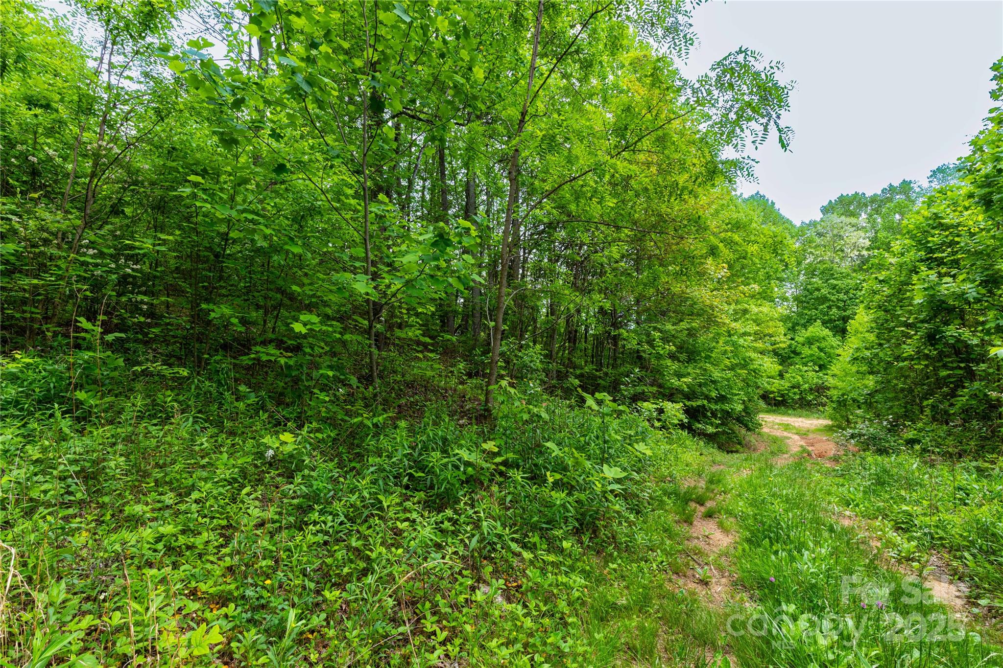 129 Mount Soma Boulevard Property Photo 7