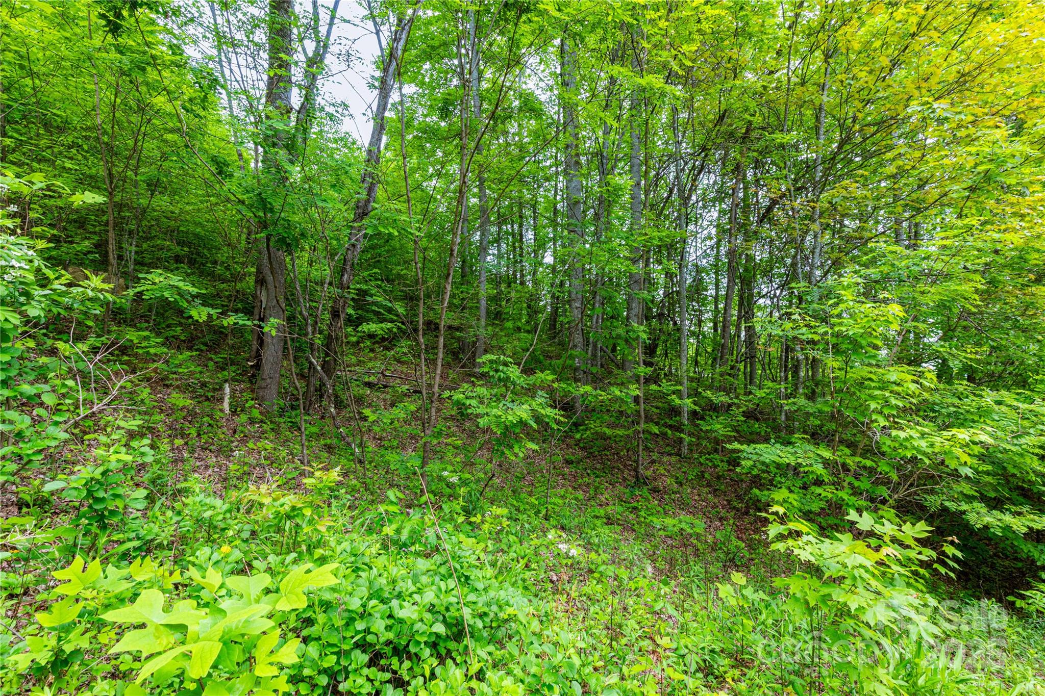 129 Mount Soma Boulevard Property Photo 8