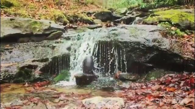 129 Mount Soma Boulevard Property Photo 18