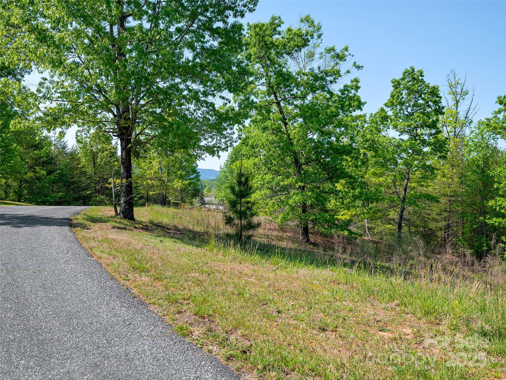Lot 17-1 Village Park Lane Property Photo 6