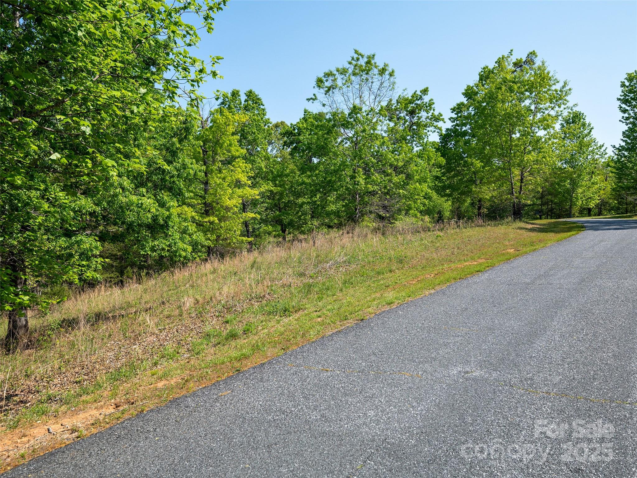 Lot 17-1 Village Park Lane Property Photo 8