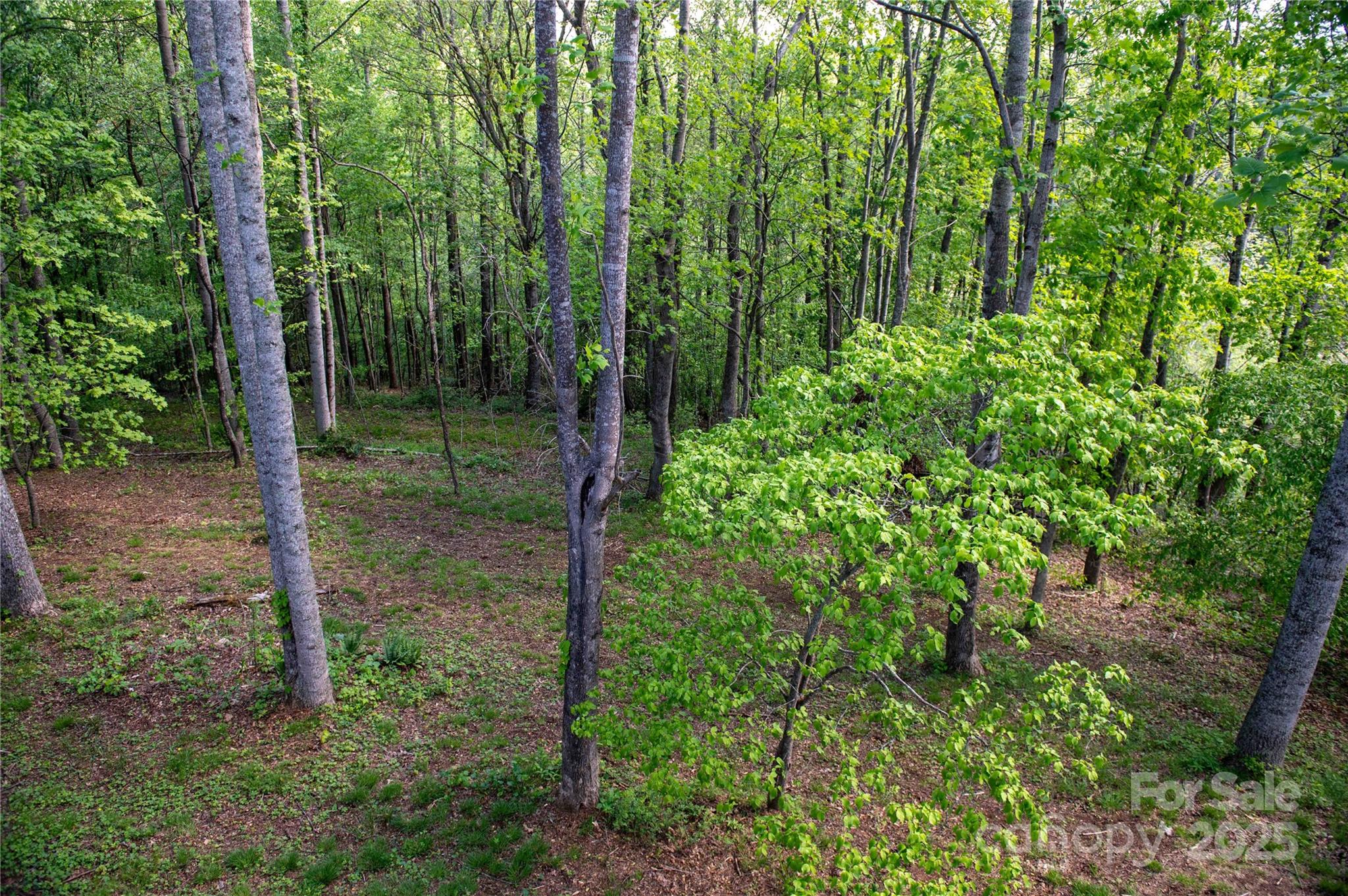 120 Powderhorn Drive Property Photo 48