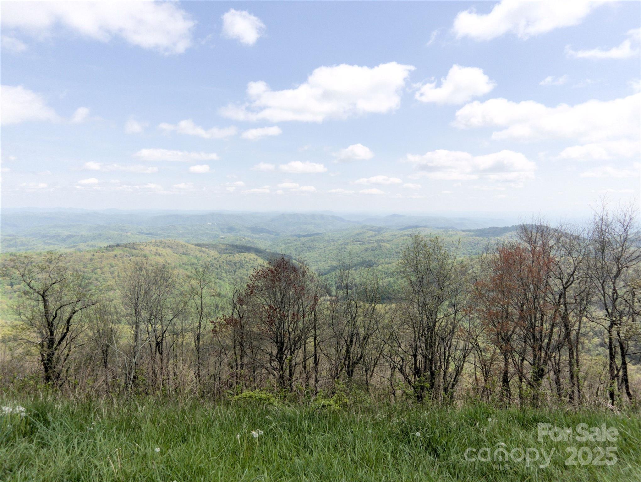 0000 Wildcat Road Property Photo 1