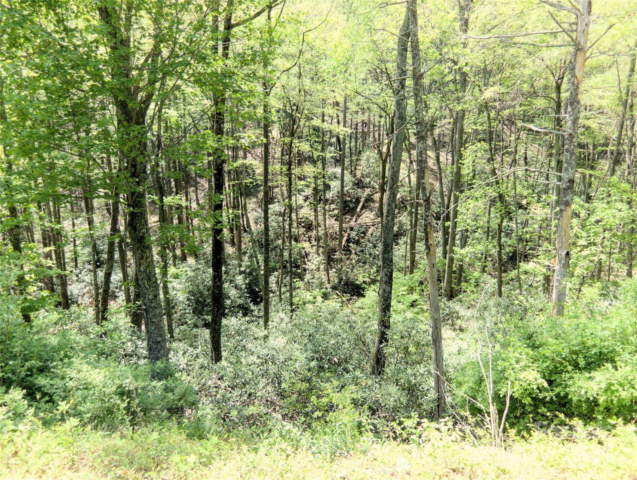 0000 Wildcat Road Property Photo 12